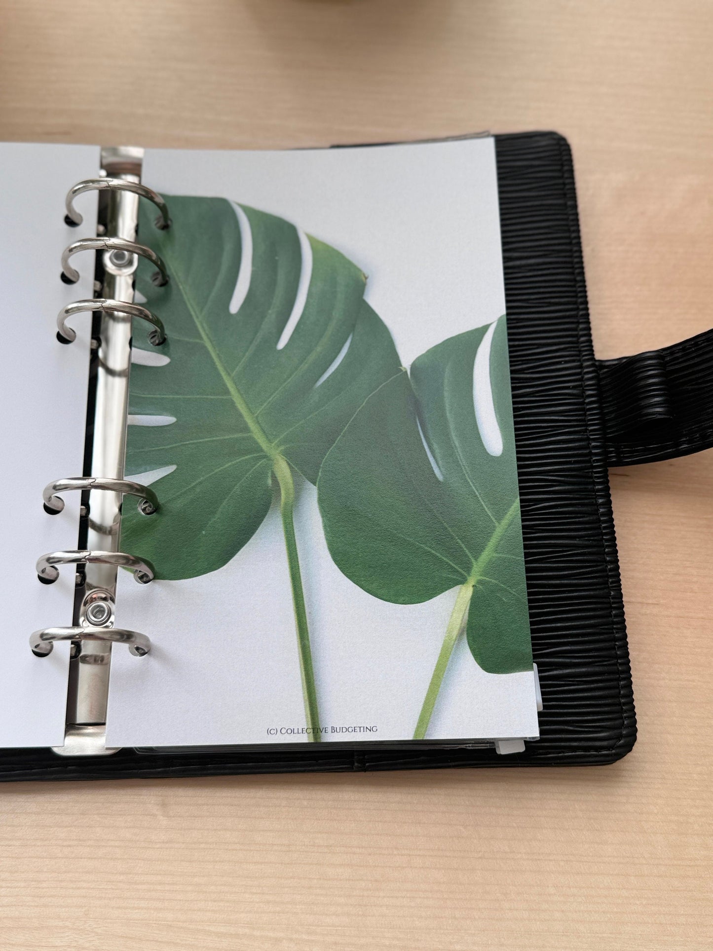 A6 Dashboard for Budget Binder | GREEN LEAF | Budgeting Tools | Money Management Accessories | Cash Stuffing Dashboard