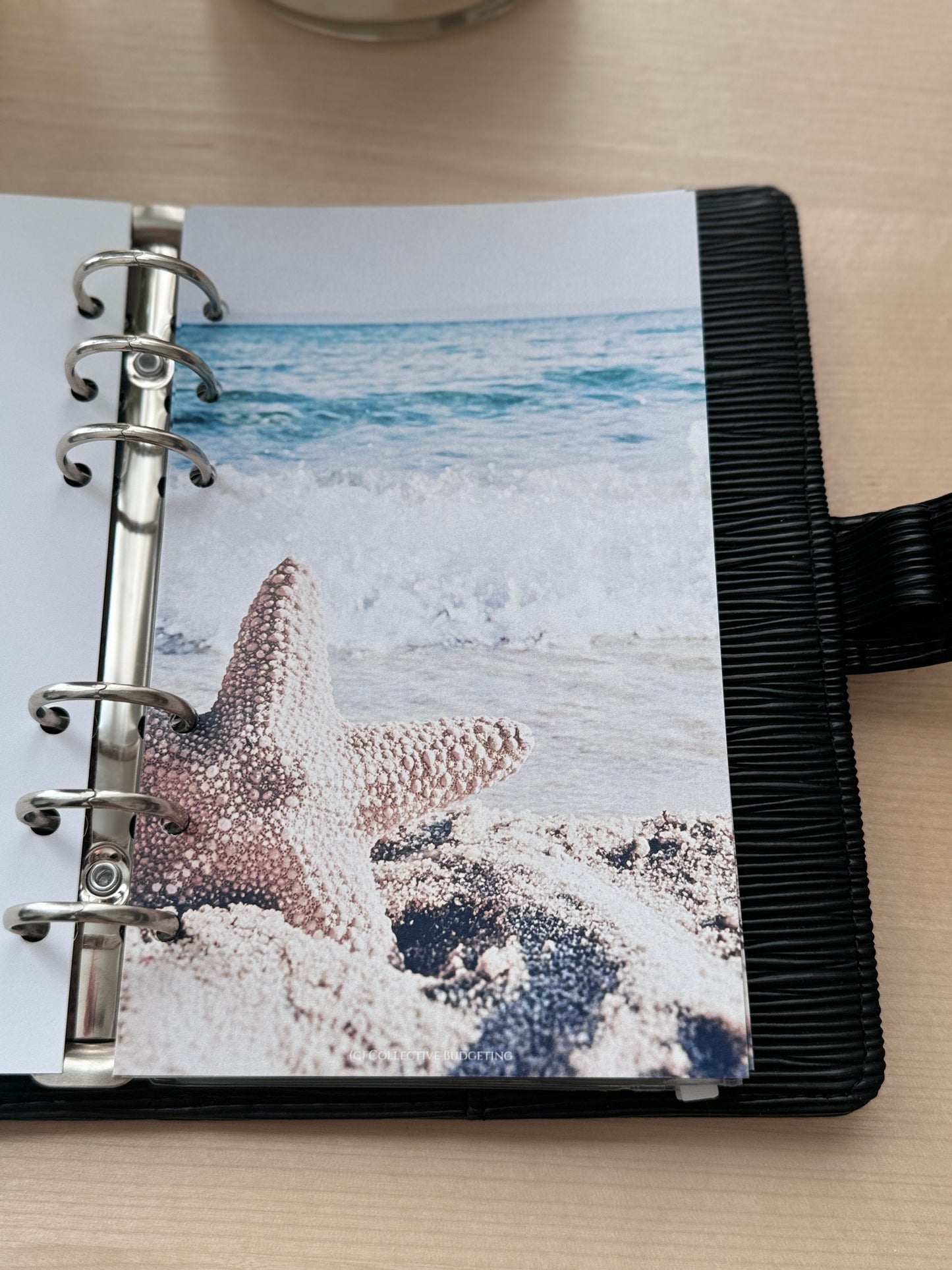 Beach Budget Binder Dashboard Insert: A5 A6 Cash Stuffing Tool
