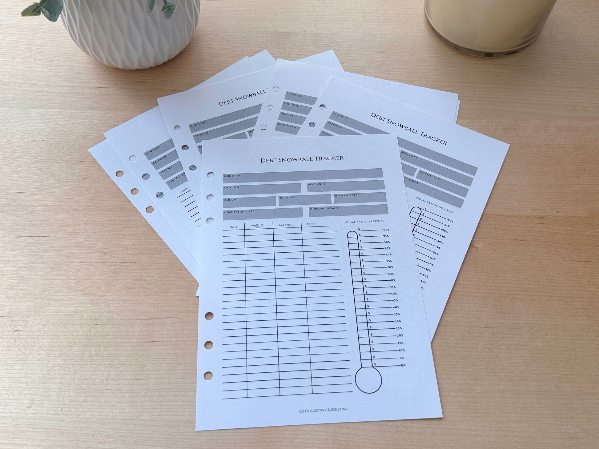 A5 Debt Snowball Tracker Insert: Cash Budgeting Tool