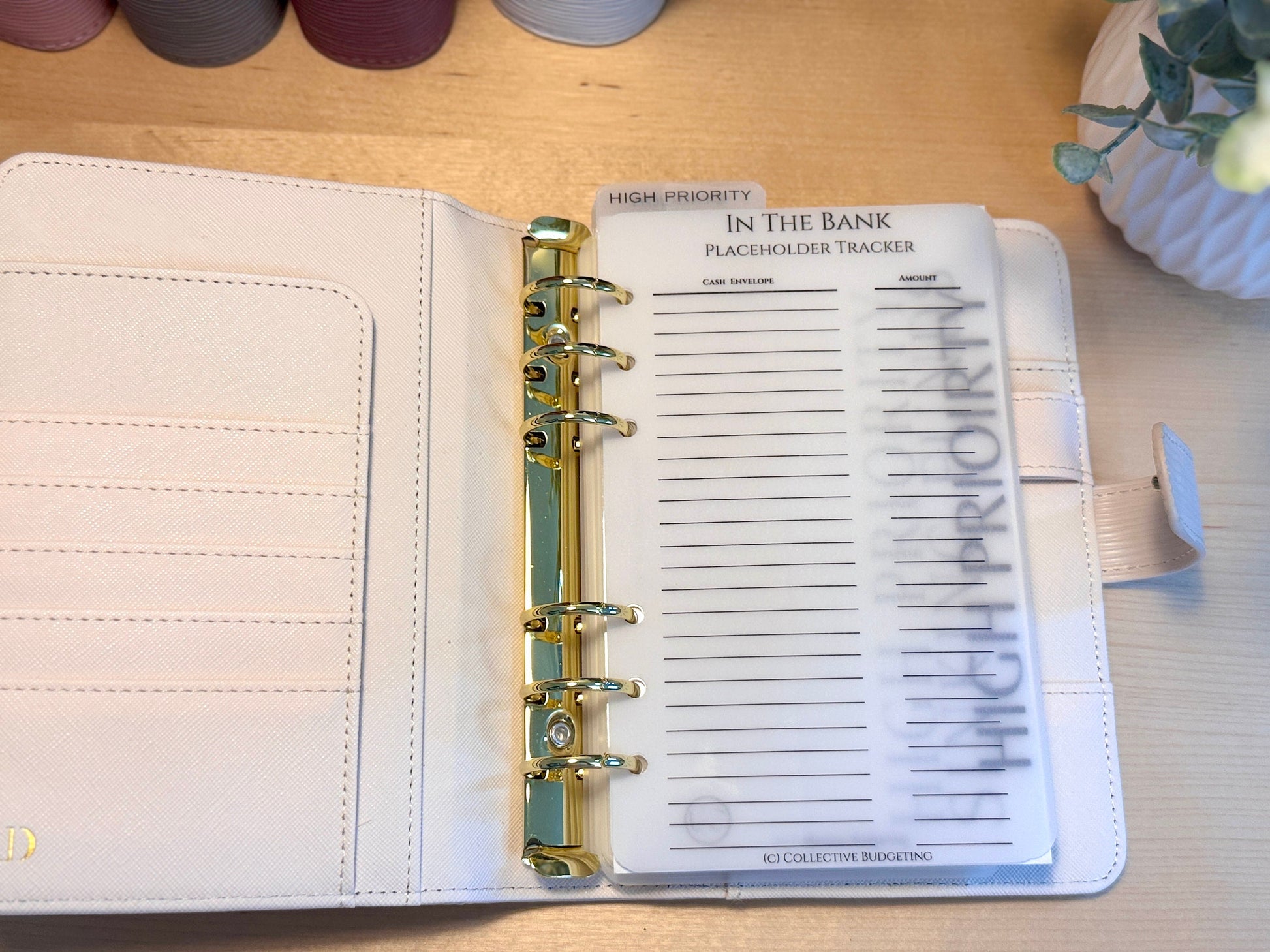 Vellum Cash Envelope Placeholder Trackers: A6 A5 Budget Binder Inserts