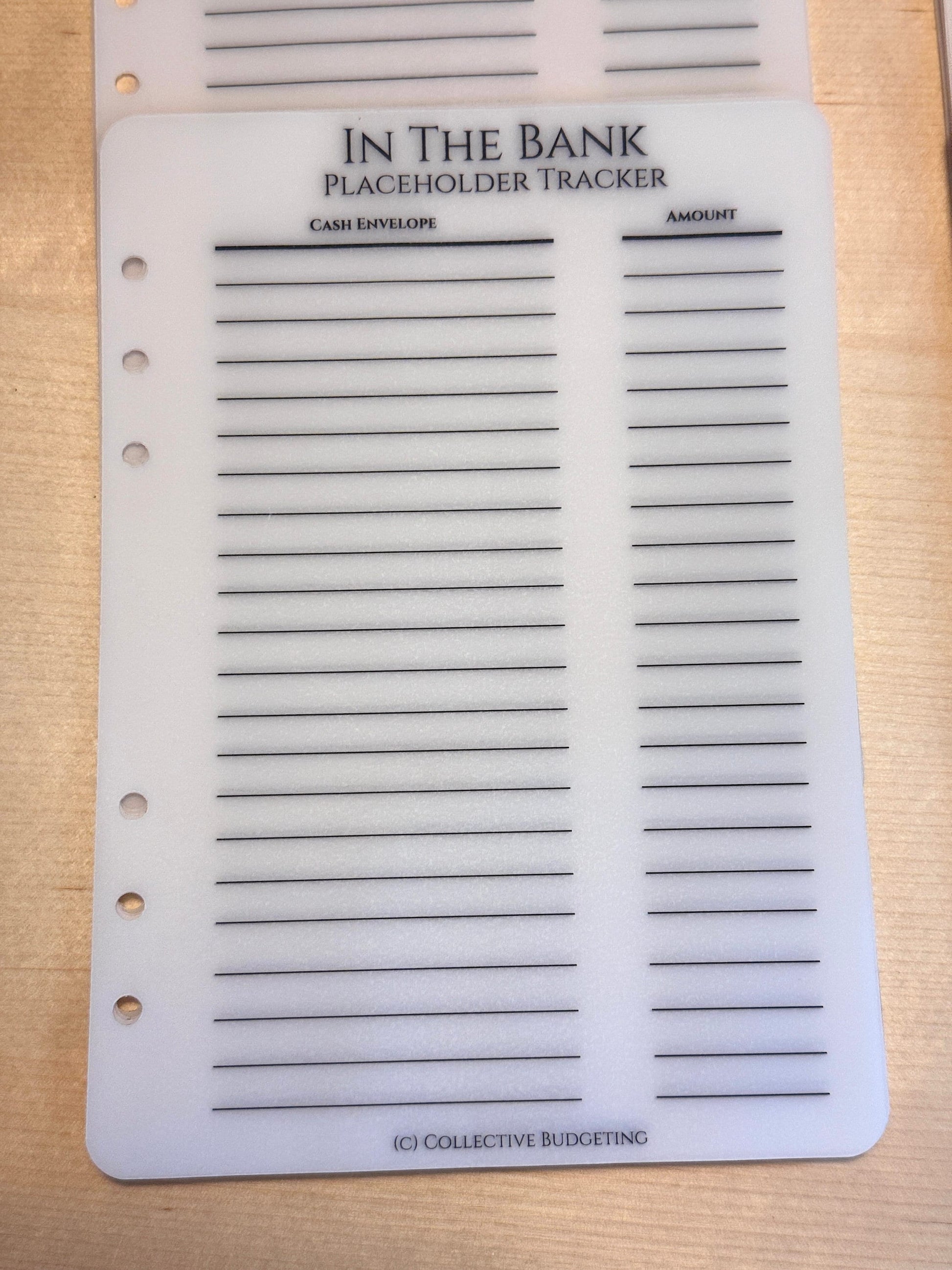 Vellum Cash Envelope Placeholder Trackers: A6 A5 Budget Binder Inserts