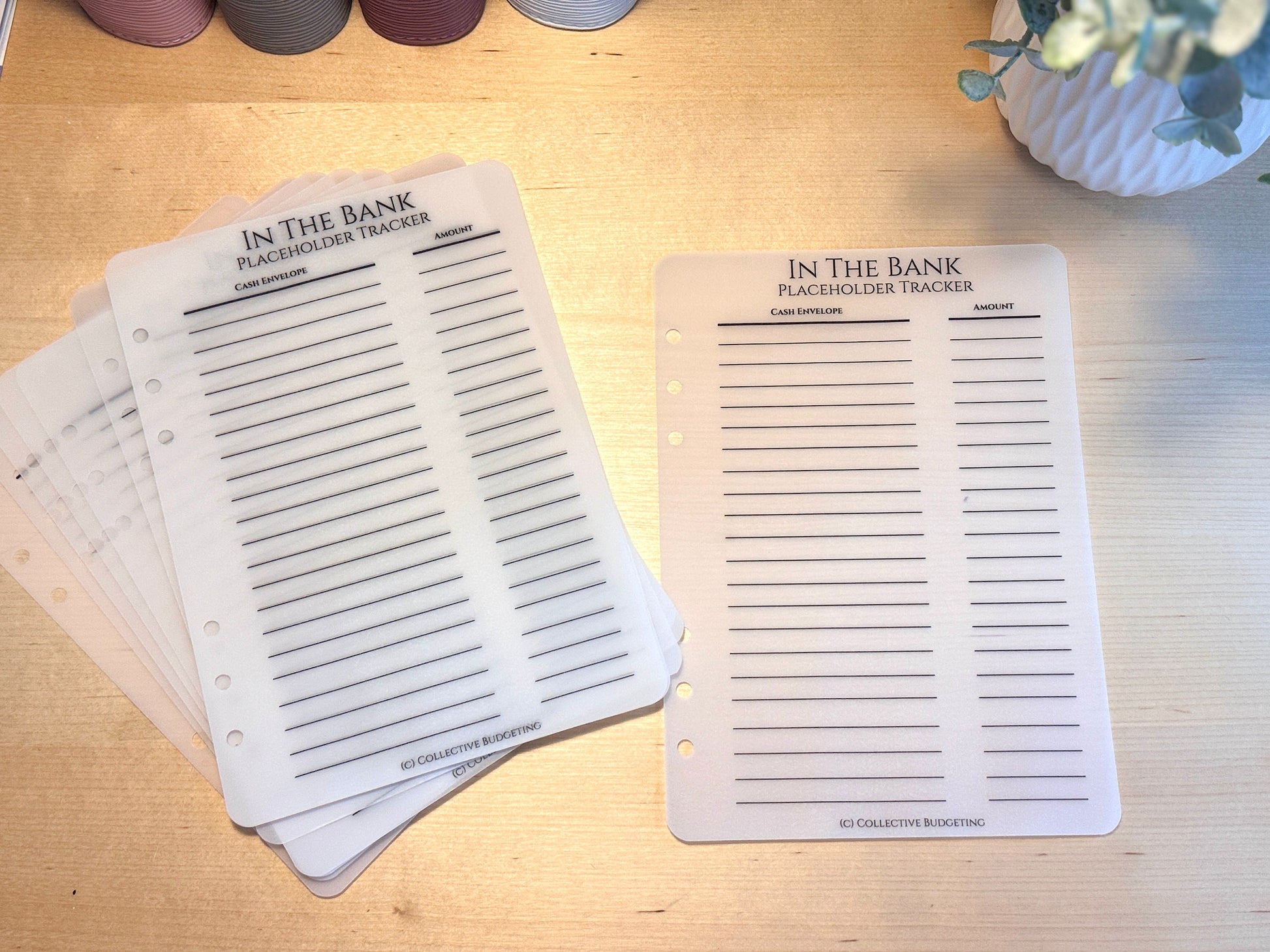Vellum Cash Envelope Placeholder Trackers: A6 A5 Budget Binder Inserts