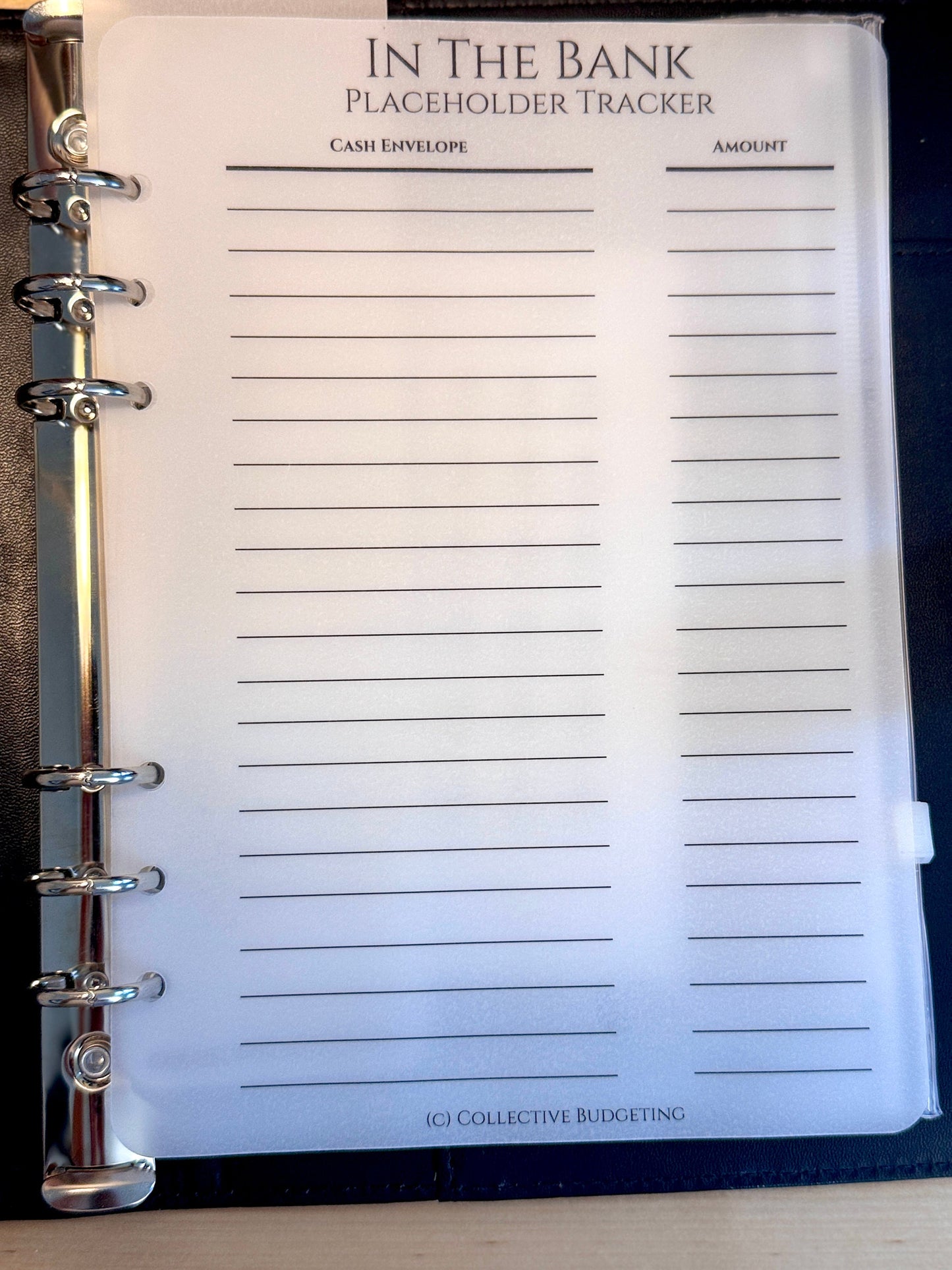 Vellum Cash Envelope Placeholder Trackers: A6 A5 Budget Binder Inserts