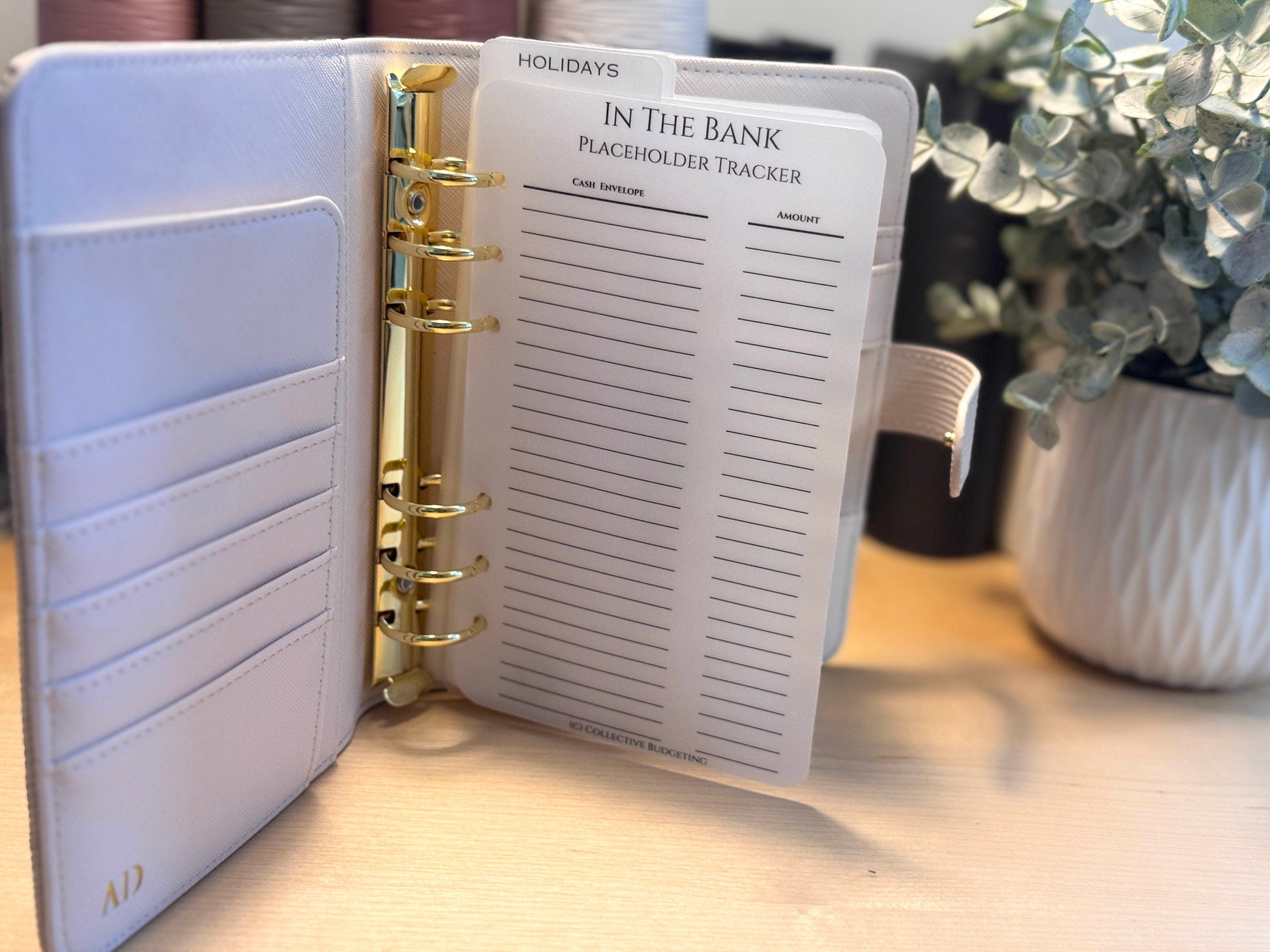 Vellum Cash Envelope Placeholder Trackers: A6 A5 Budget Binder Inserts