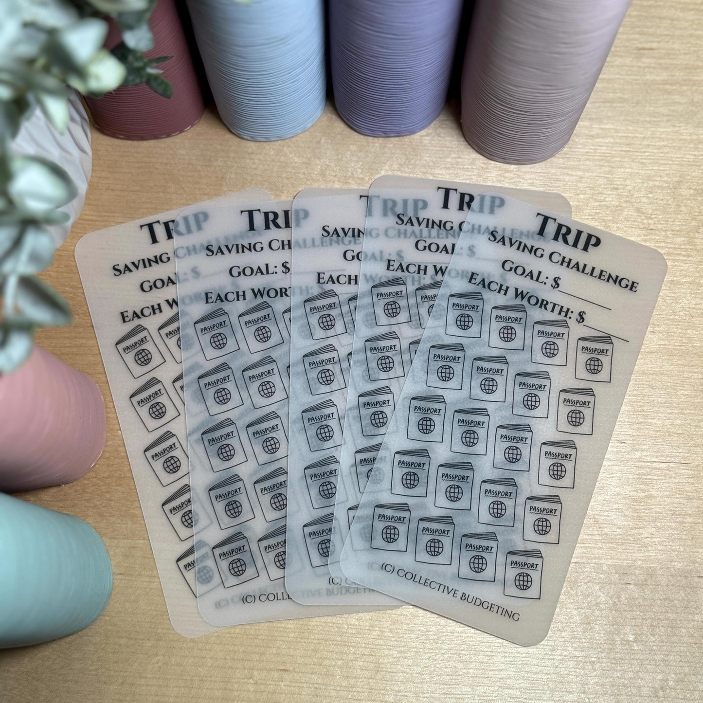 Trip Savings Challenge: Laminated Vellum Cash Tracker for Budgeting