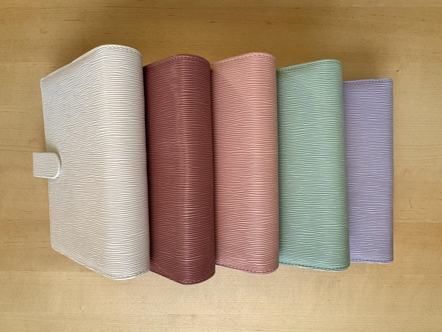 A5 Epi Budget Binder: Silver Rings & Buckle Close