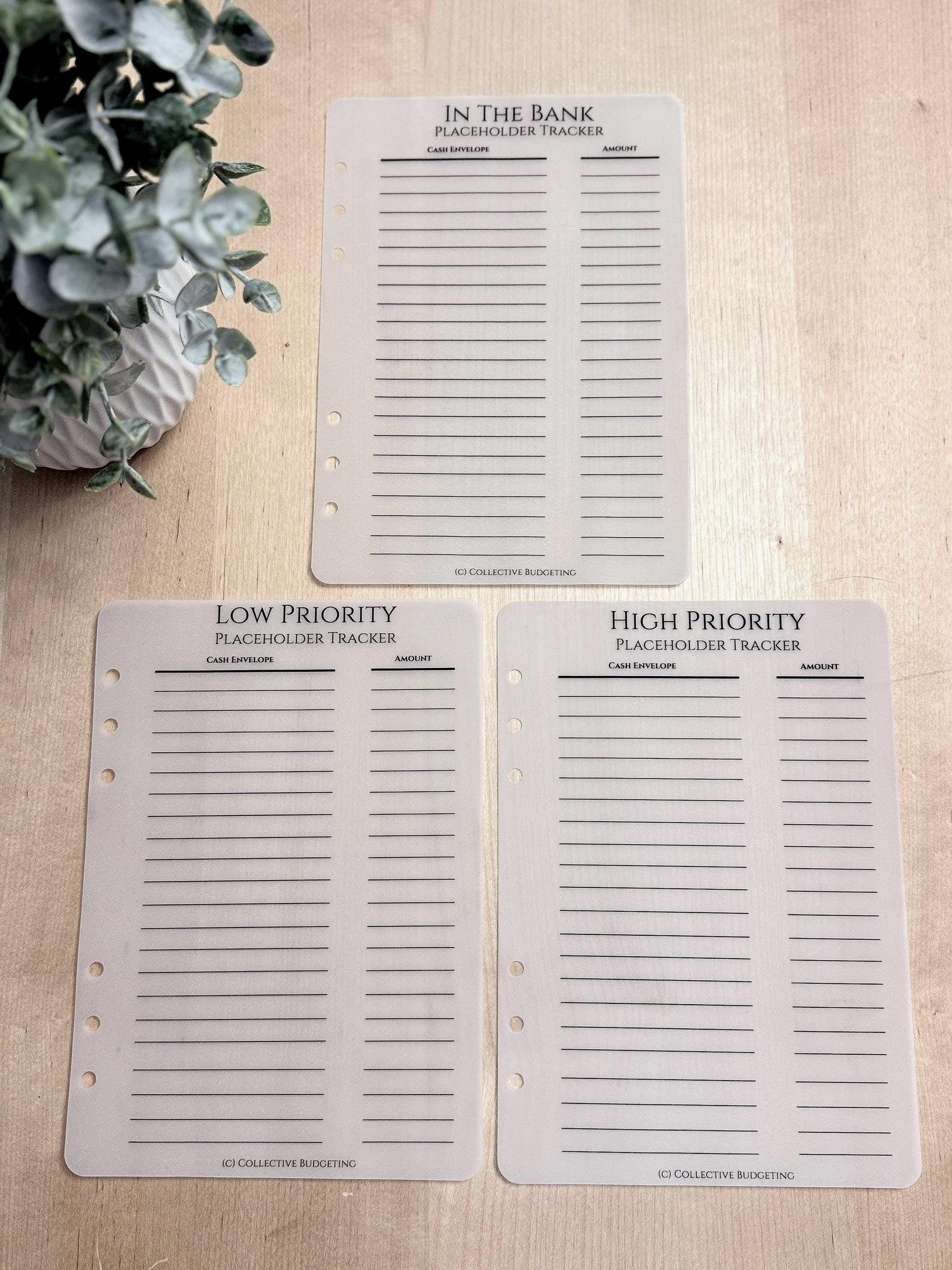 Vellum Cash Envelope Placeholder Trackers: A6 A5 Budget Binder Inserts