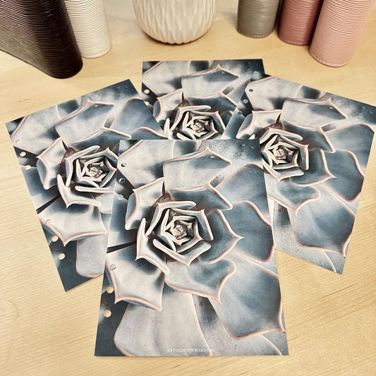 Cactus Flower Budget Binder Dashboard: A5/A6 Cash Stuffing Insert