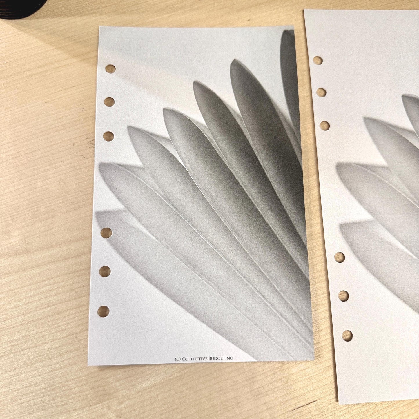 Paper Flower Budget Binder Dashboard Insert: A5/A6 Cash Stuffing Tool