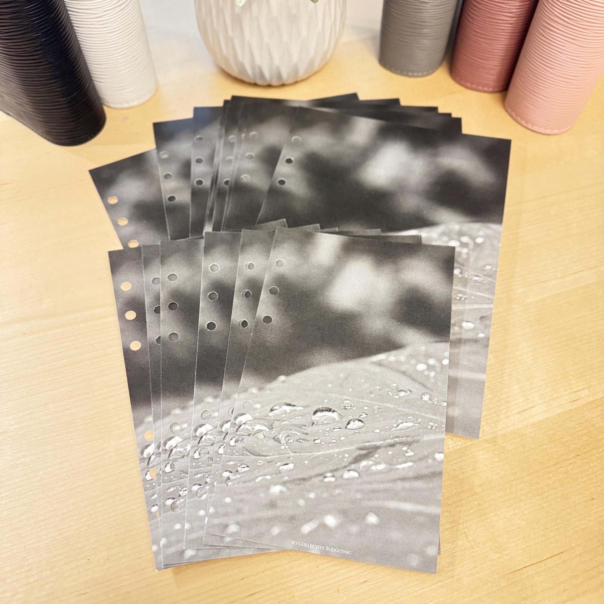 Raindrops on Leaf Budget Binder Dashboard: A5 A6 Cash Stuffing Insert