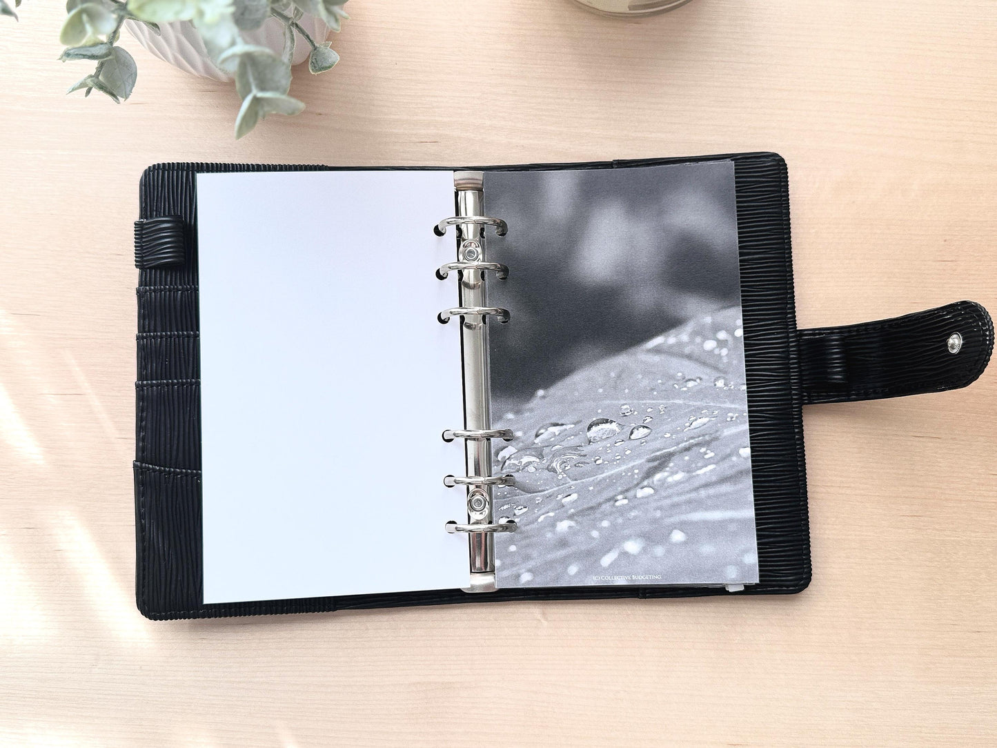 Raindrops on Leaf Budget Binder Dashboard: A5 A6 Cash Stuffing Insert