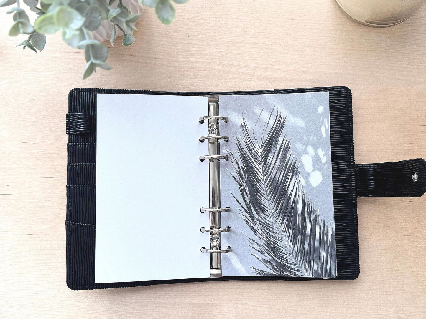 Palm Leaves Budget Binder Dashboard: A5 A6 Cash Stuffing Insert