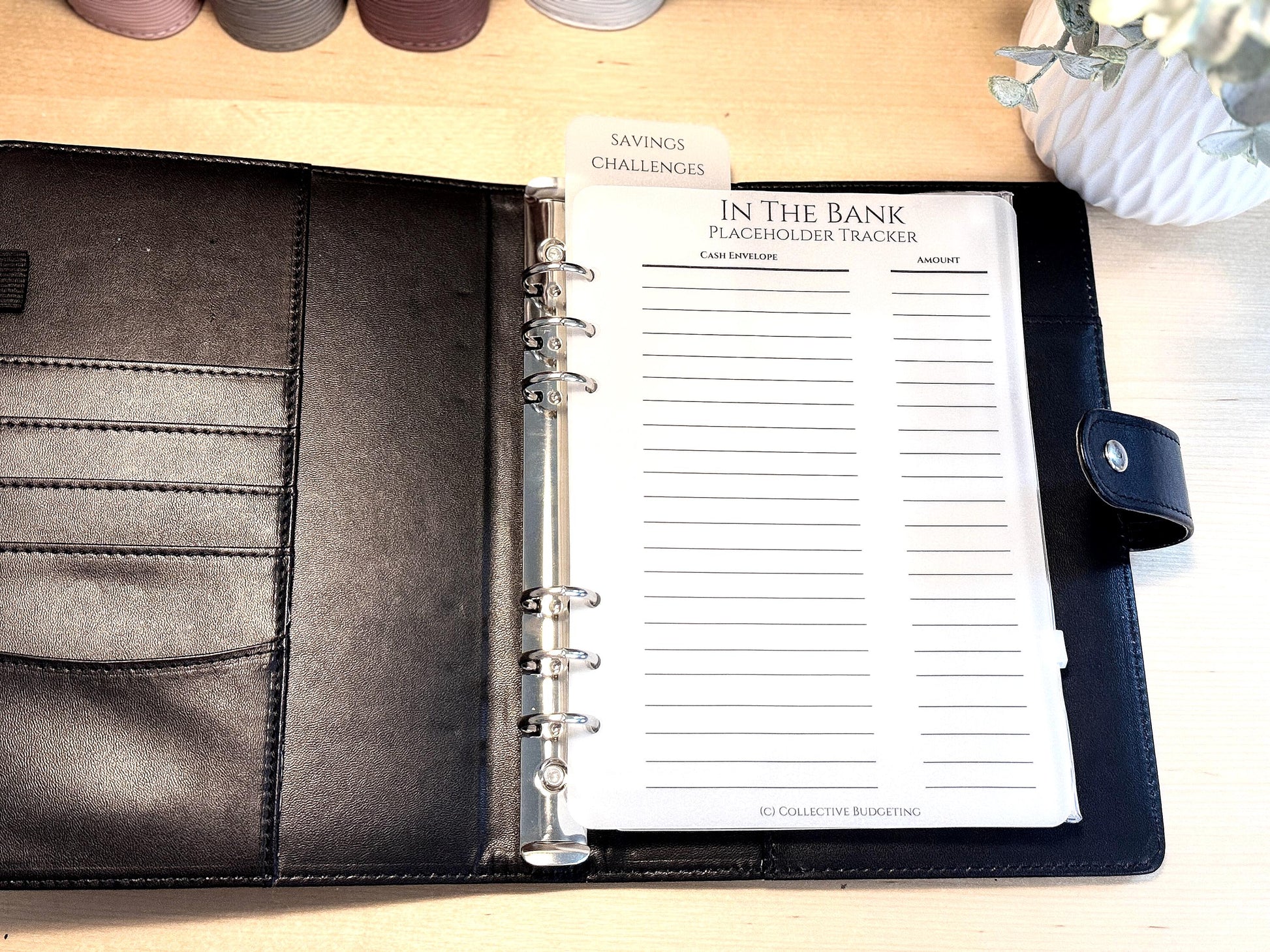 Vellum Cash Envelope Placeholder Trackers: A6 A5 Budget Binder Inserts