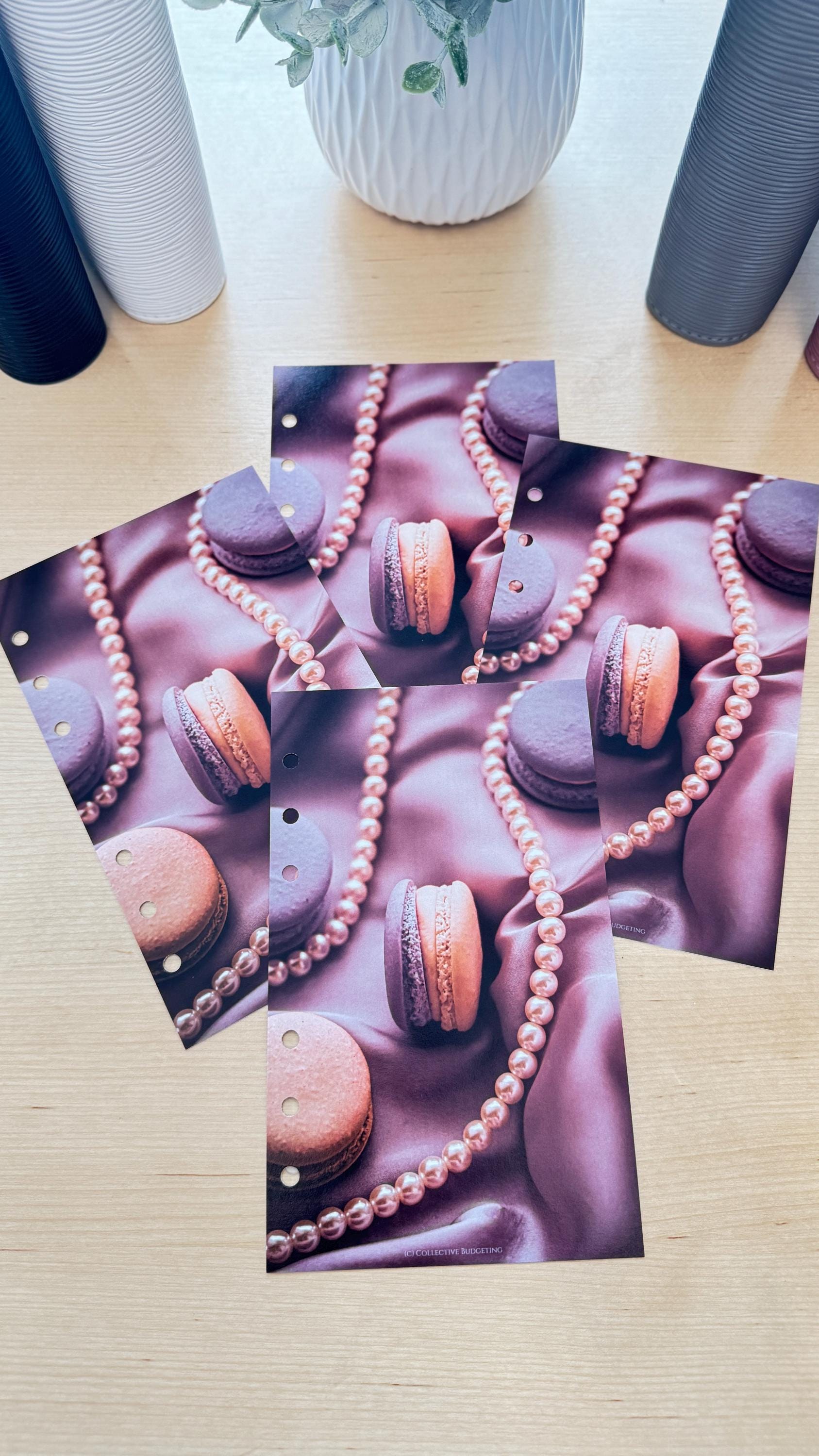 Macaroon Budget Binder Dashboard: A5 A6 Cash Stuffing Insert