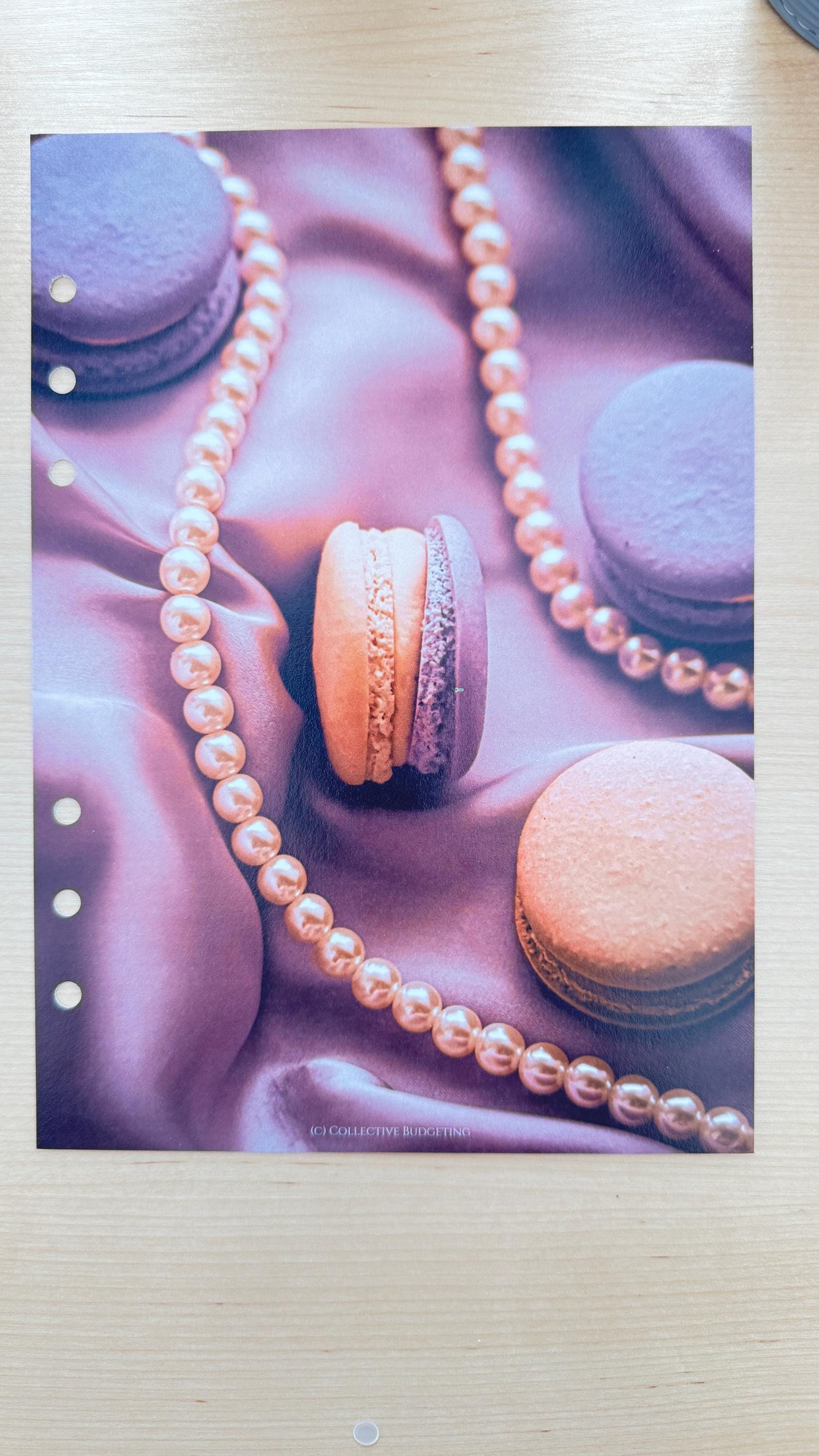 Macaroon Budget Binder Dashboard: A5 A6 Cash Stuffing Insert