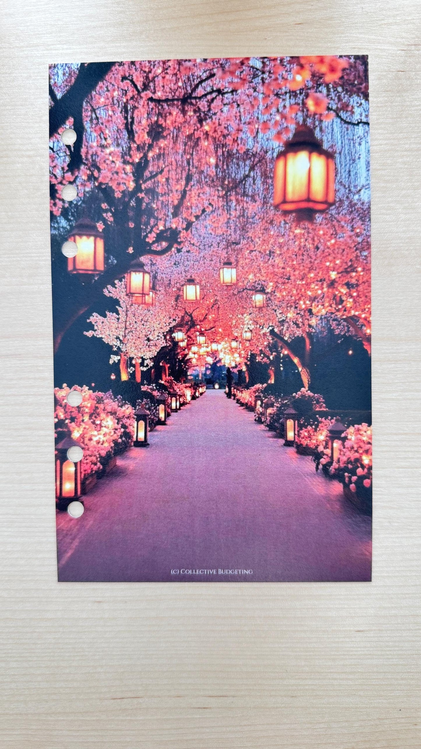 Lantern Walk Budget Binder Dashboard: A5 A6 Cash Stuffing Insert