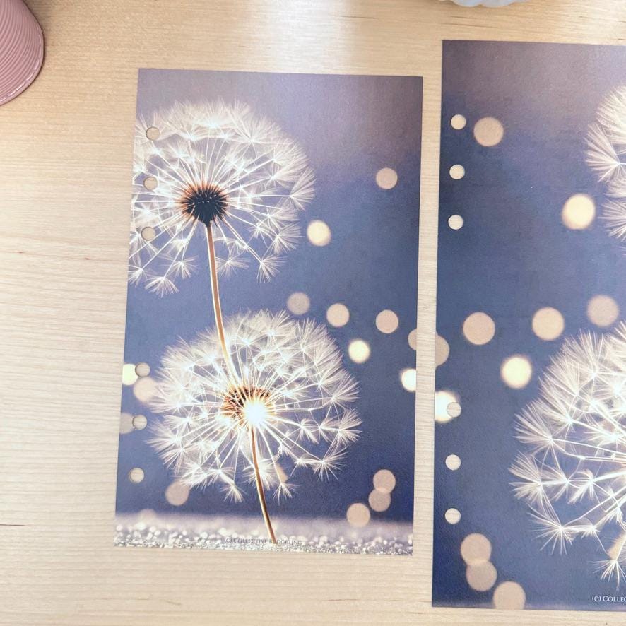 Wishing Flower Budget Binder Dashboard: A5 A6 Cash Stuffing Insert