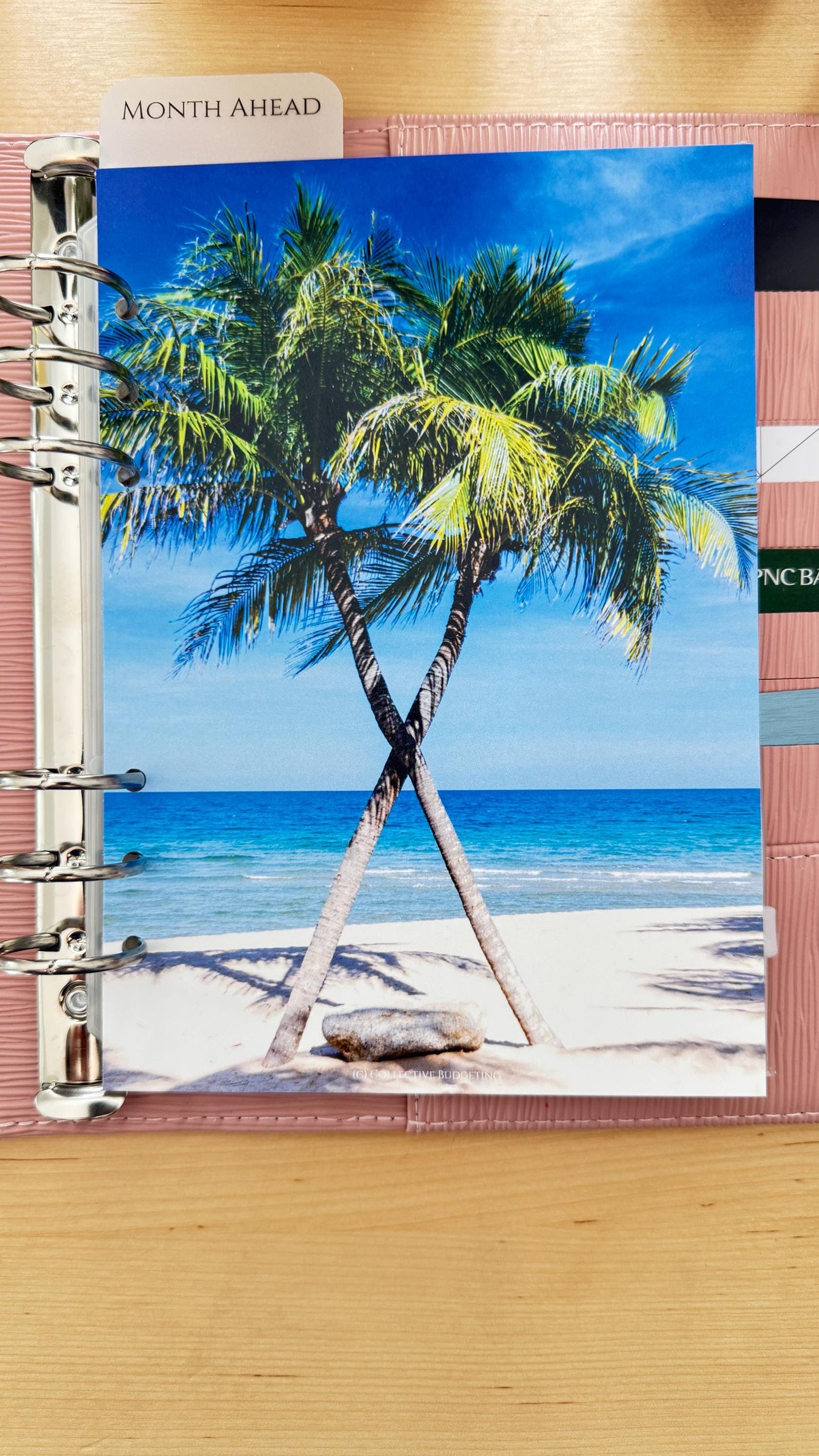 Oasis Palms Budget Binder Dashboard: A5/A6 Cash Stuffing Insert