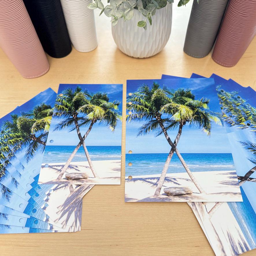 Oasis Palms Budget Binder Dashboard: A5/A6 Cash Stuffing Insert