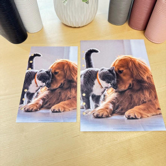 Pets Budget Binder Dashboard: A5/A6 Cash Stuffing Insert