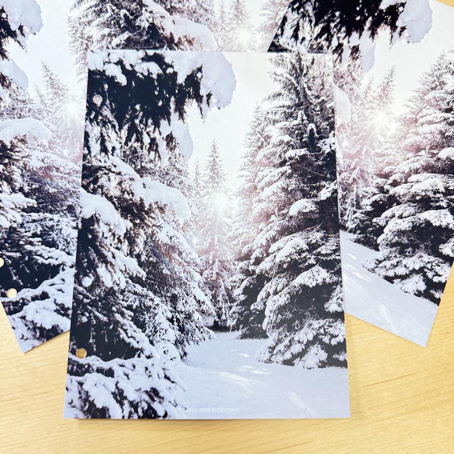 Winter Budget Binder Dashboard: A5/A6 Cash Stuffing Insert