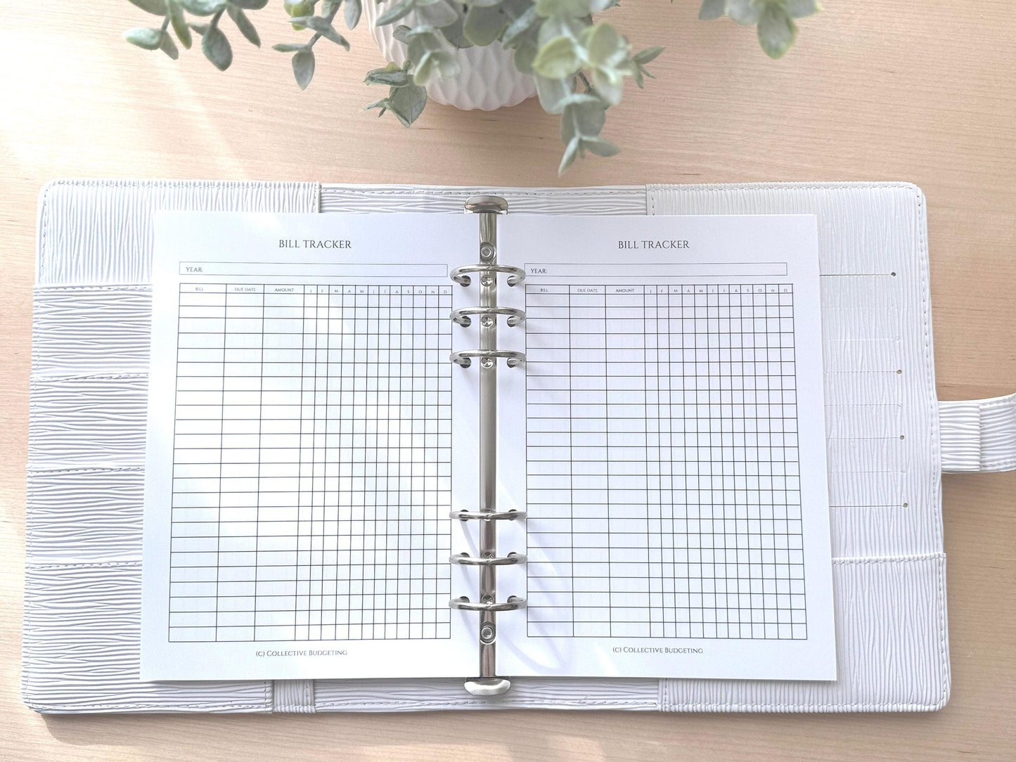 A5 Budget Binder Insert: Bill Tracker, Cash Stuffing Tool
