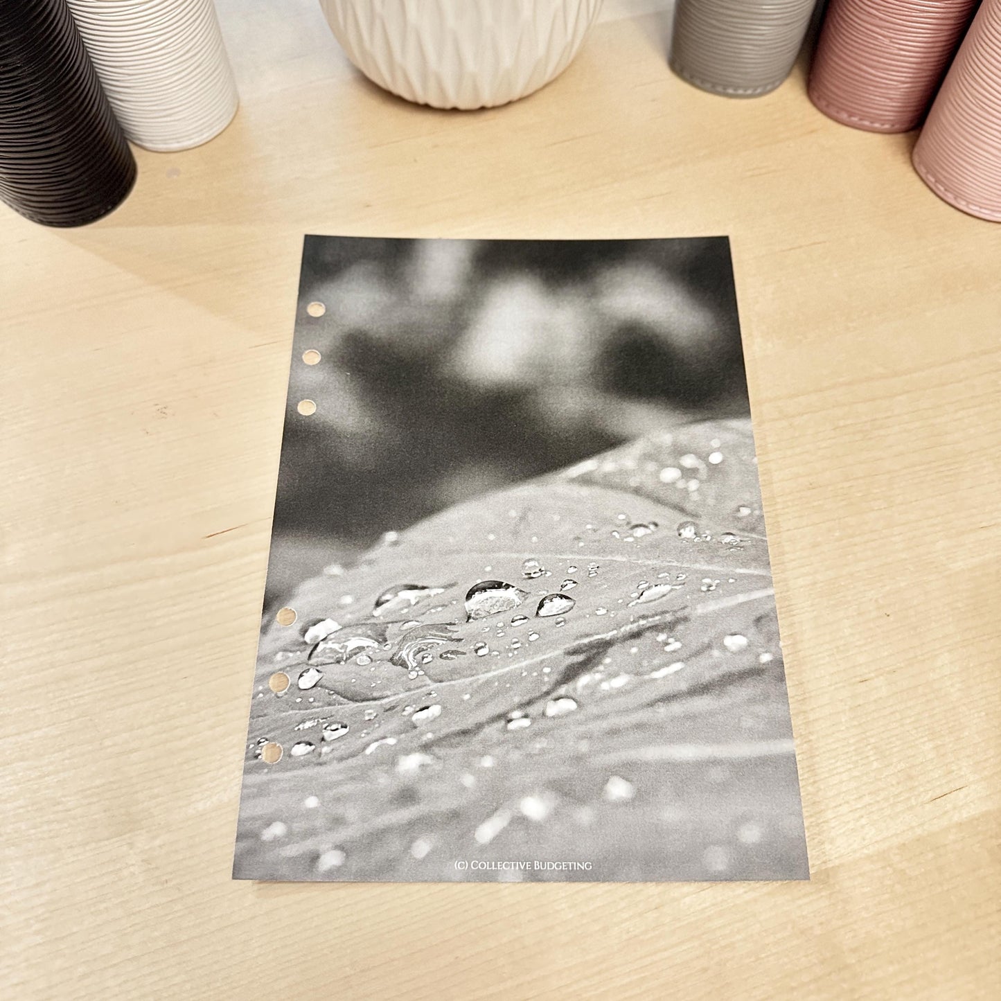Raindrops on Leaf Budget Binder Dashboard: A5 A6 Cash Stuffing Insert