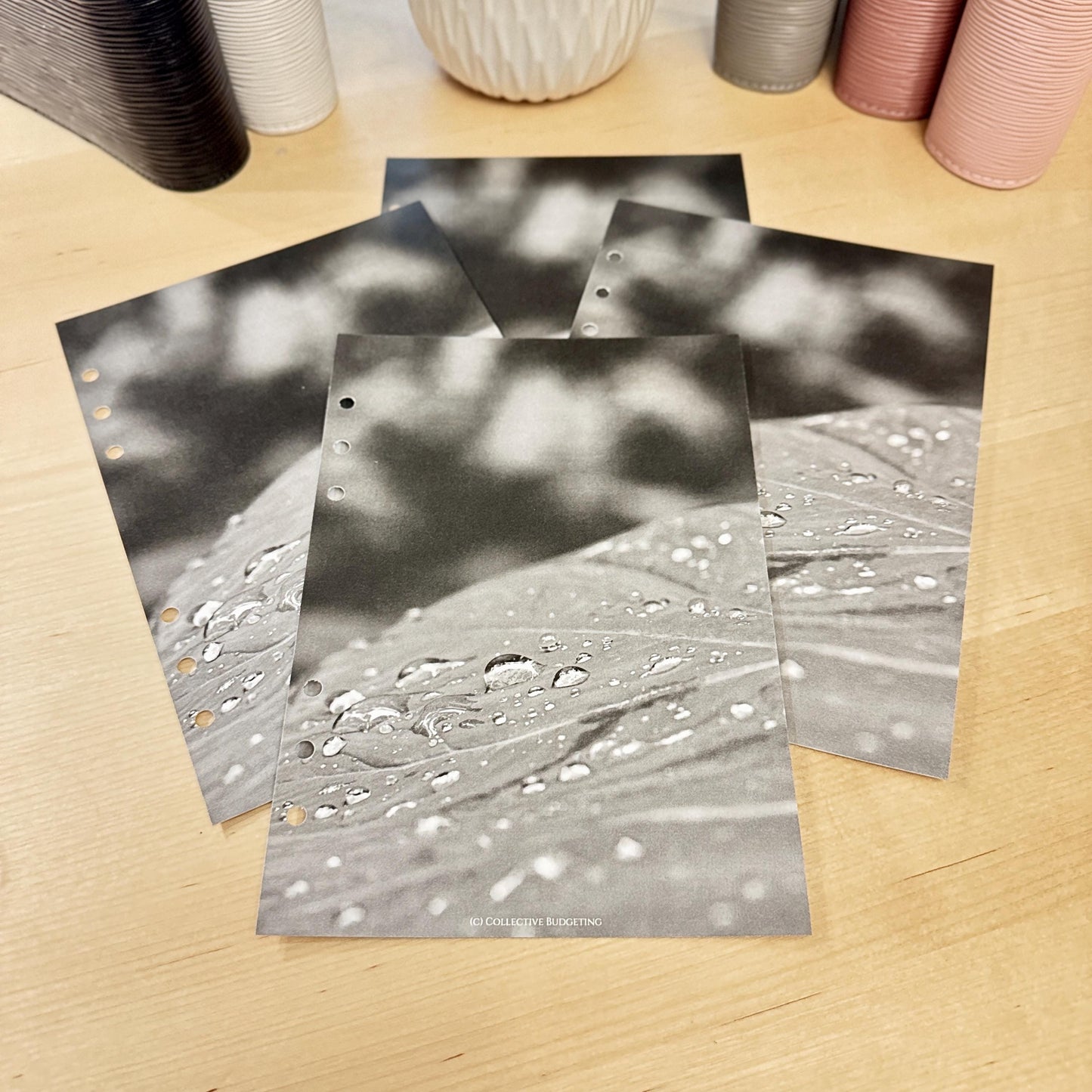 Raindrops on Leaf Budget Binder Dashboard: A5 A6 Cash Stuffing Insert