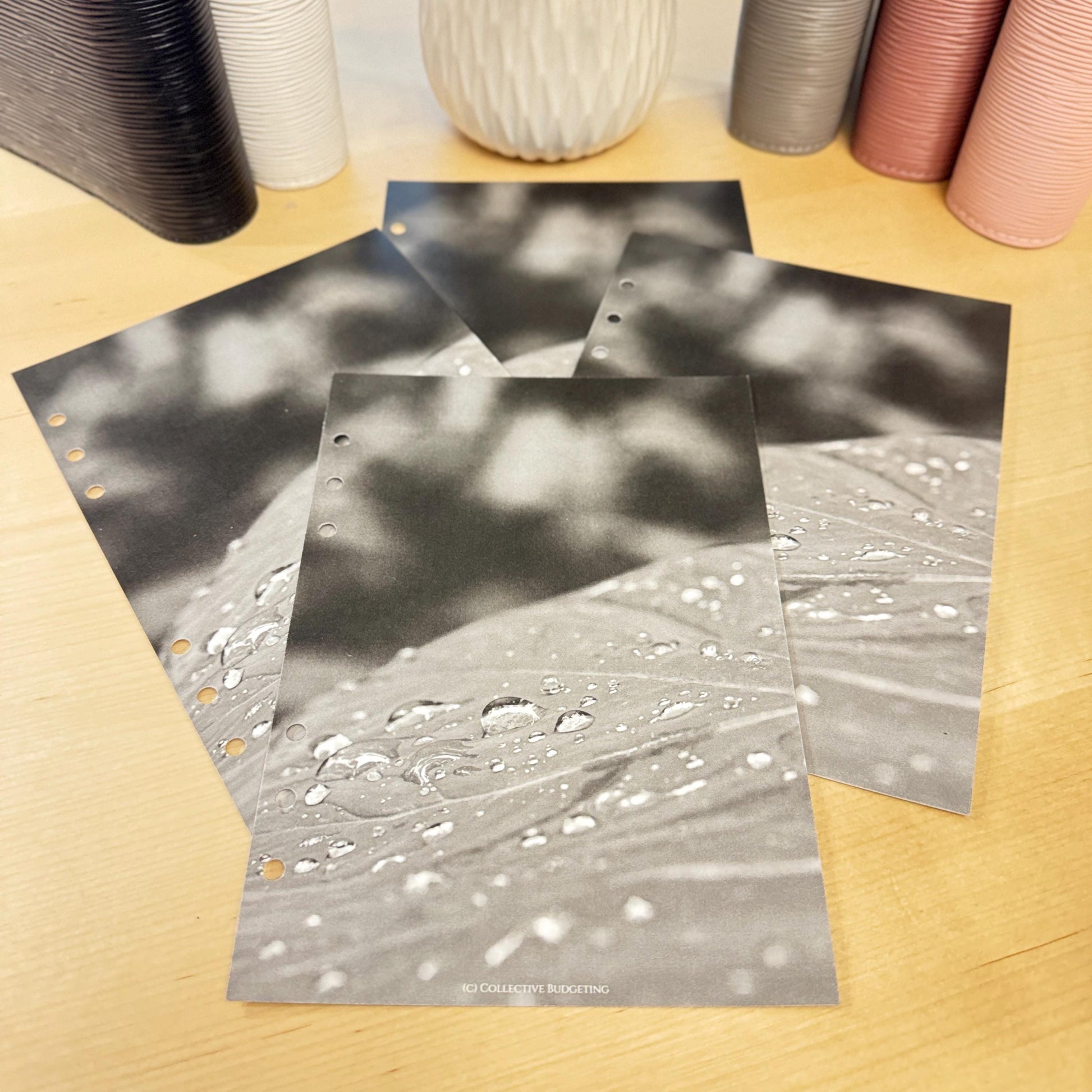 Raindrops on Leaf Budget Binder Dashboard: A5 A6 Cash Stuffing Insert