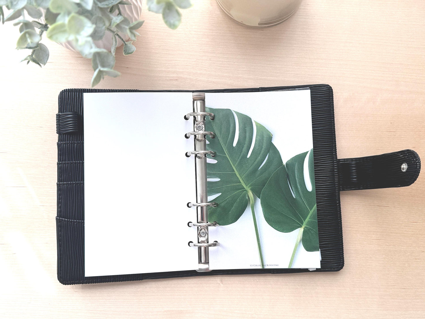 A6 Dashboard for Budget Binder | GREEN LEAF | Budgeting Tools | Money Management Accessories | Cash Stuffing Dashboard