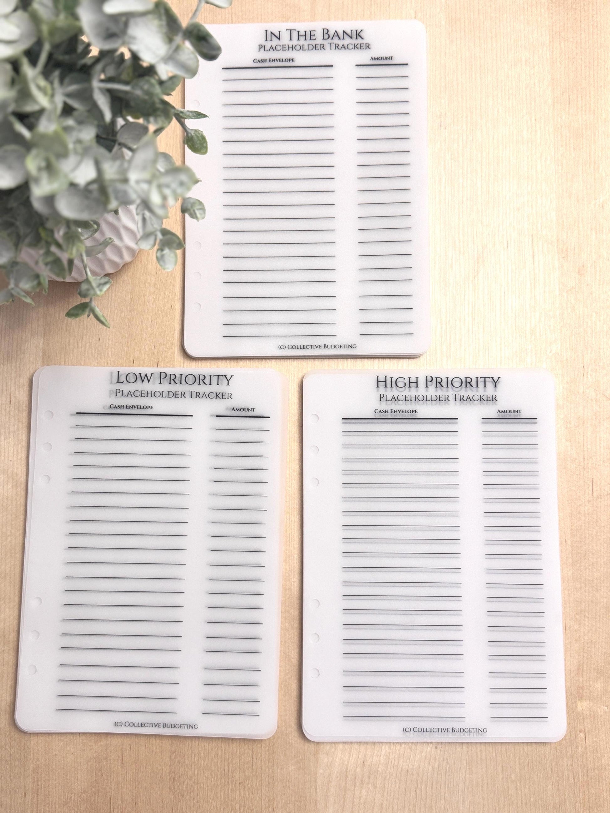 Vellum Cash Envelope Placeholder Trackers: A6 A5 Budget Binder Inserts