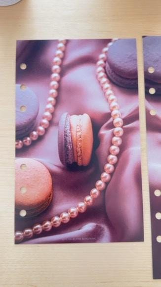 Macaroon Budget Binder Dashboard: A5 A6 Cash Stuffing Insert