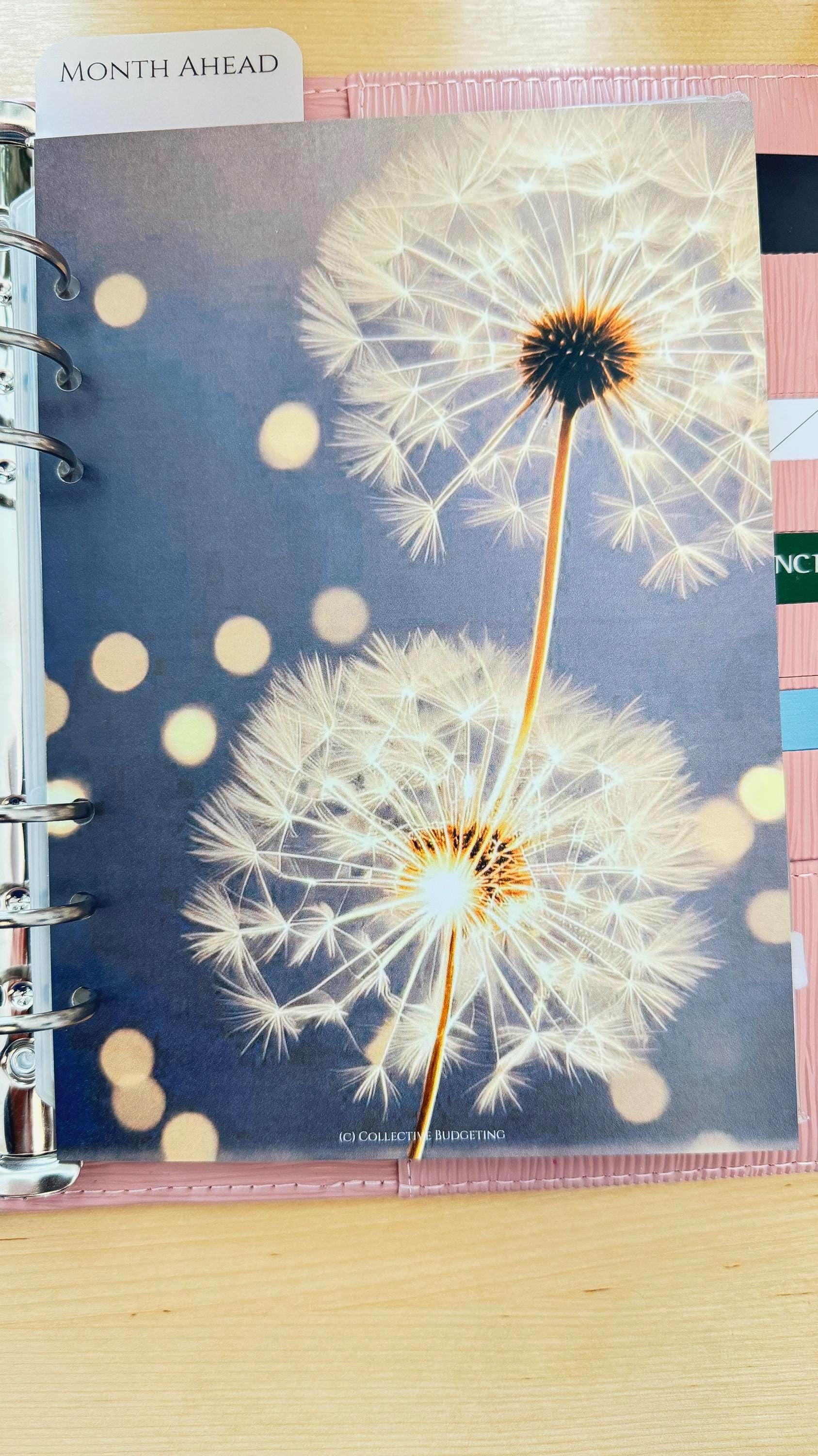 Wishing Flower Budget Binder Dashboard: A5 A6 Cash Stuffing Insert