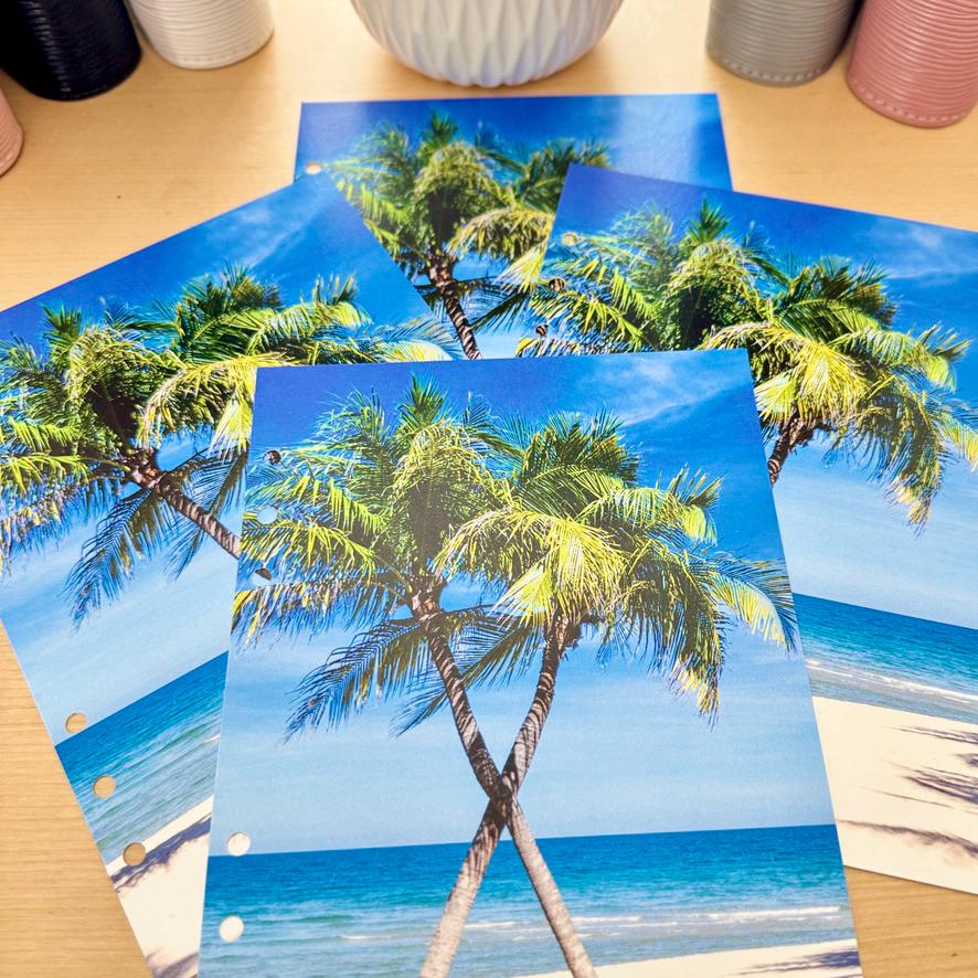 Oasis Palms Budget Binder Dashboard: A5/A6 Cash Stuffing Insert