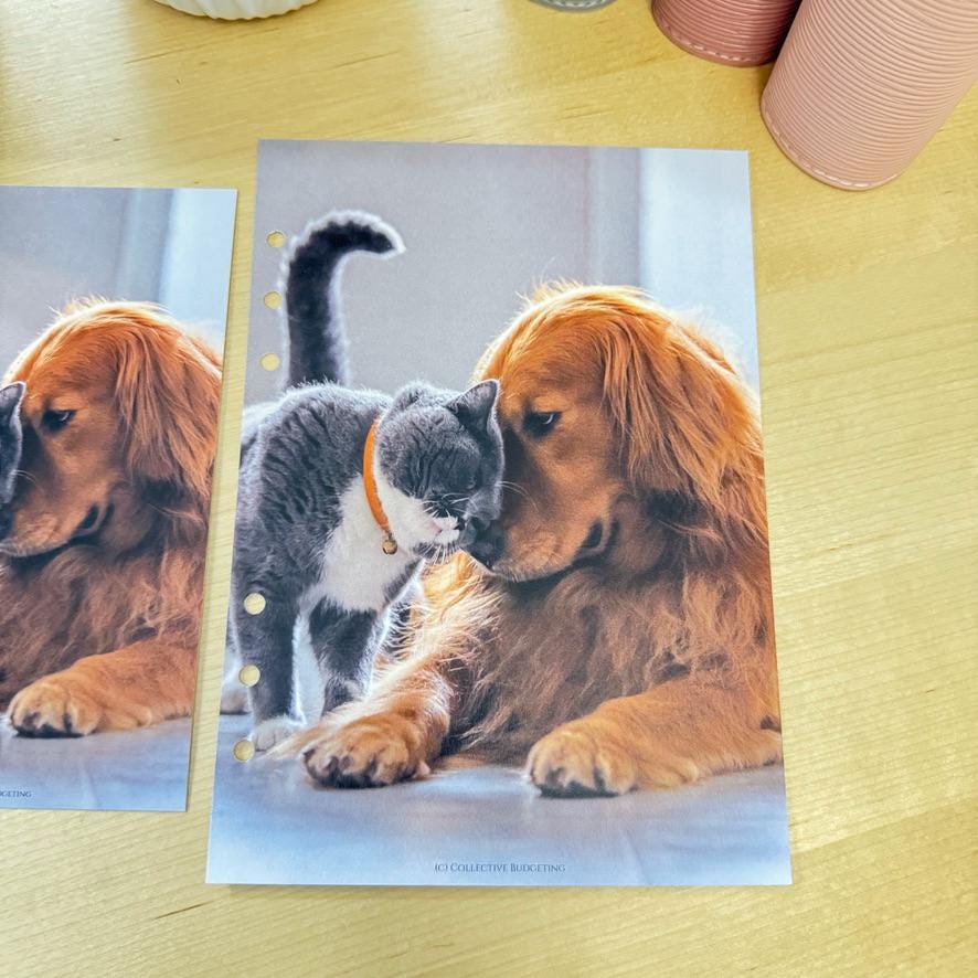 Pets Budget Binder Dashboard: A5/A6 Cash Stuffing Insert