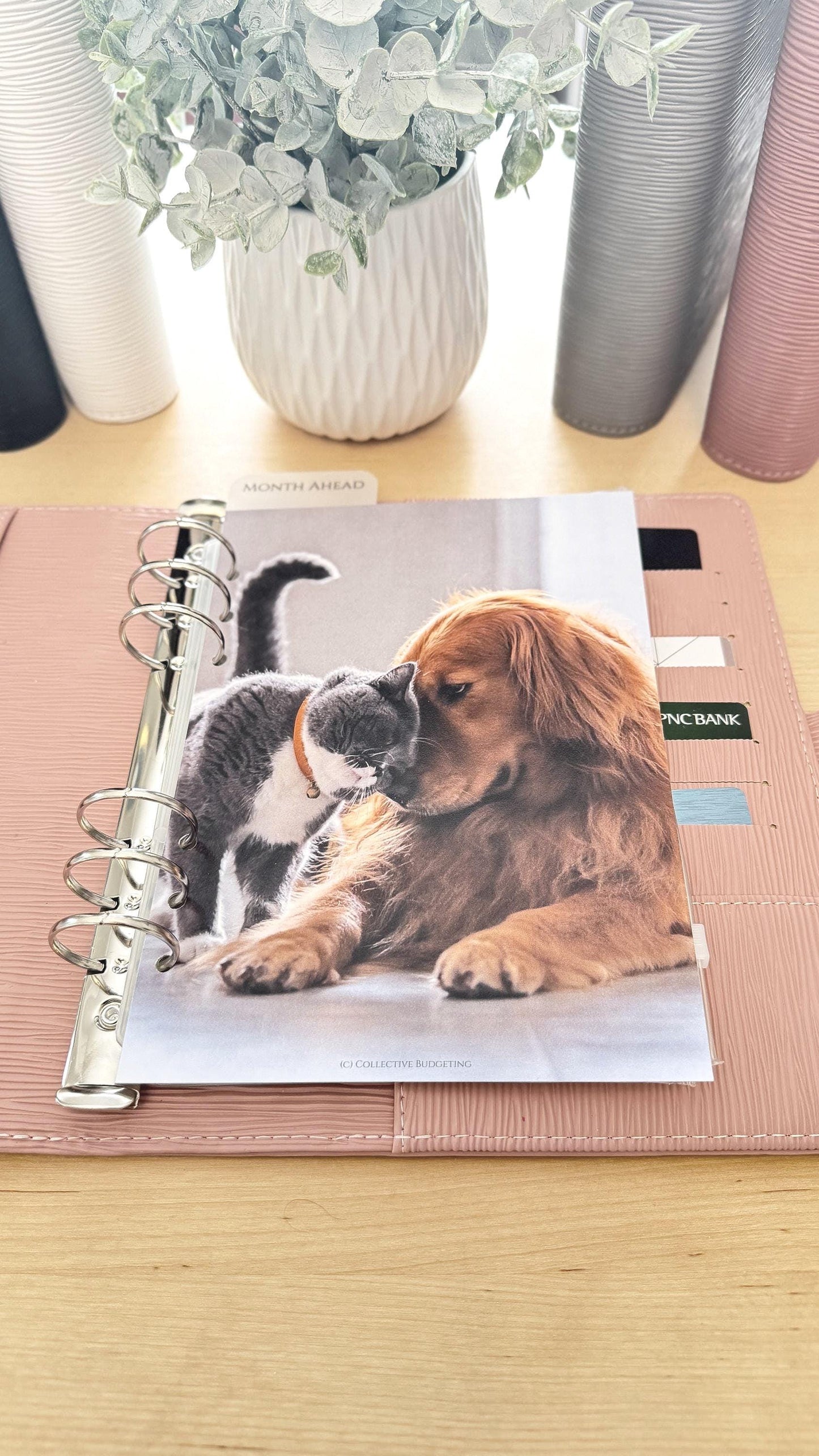 Pets Budget Binder Dashboard: A5/A6 Cash Stuffing Insert