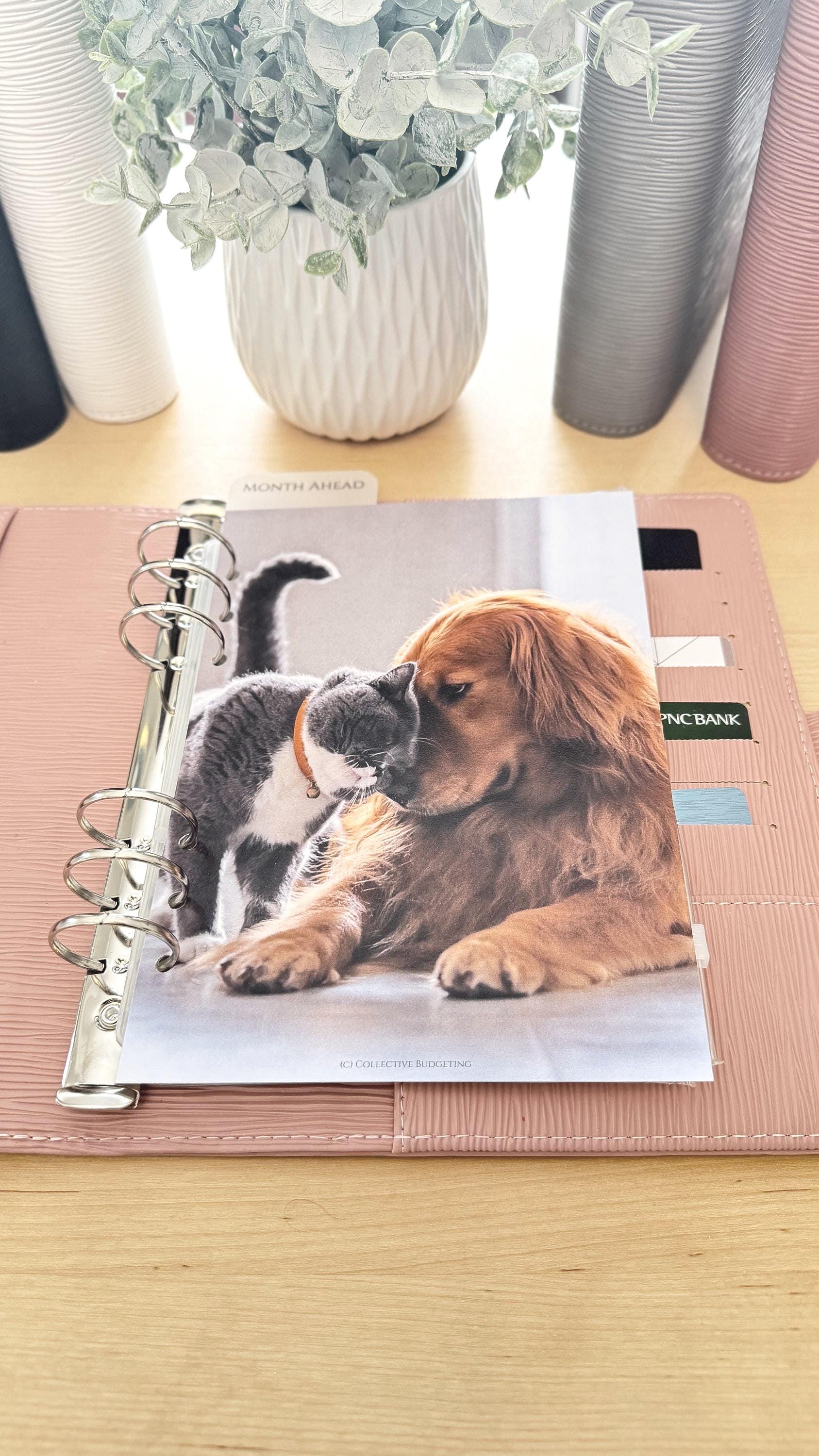 Pets Budget Binder Dashboard: A5/A6 Cash Stuffing Insert