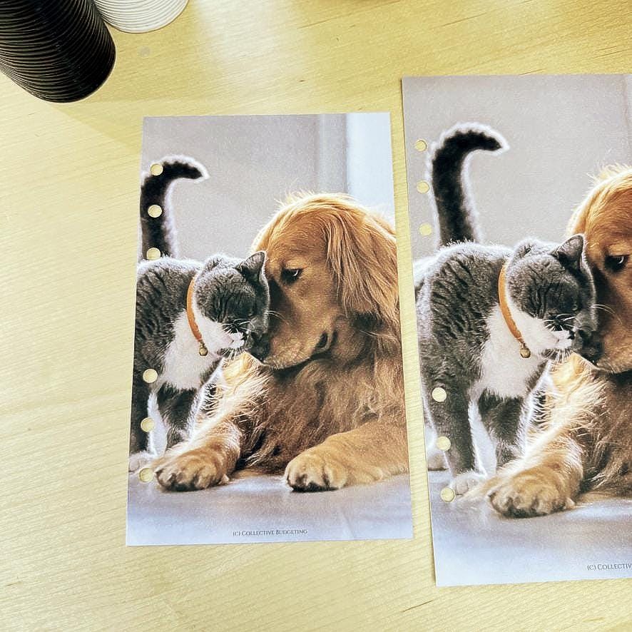 Pets Budget Binder Dashboard: A5/A6 Cash Stuffing Insert