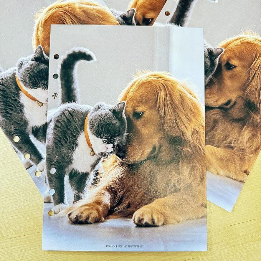 Pets Budget Binder Dashboard: A5/A6 Cash Stuffing Insert