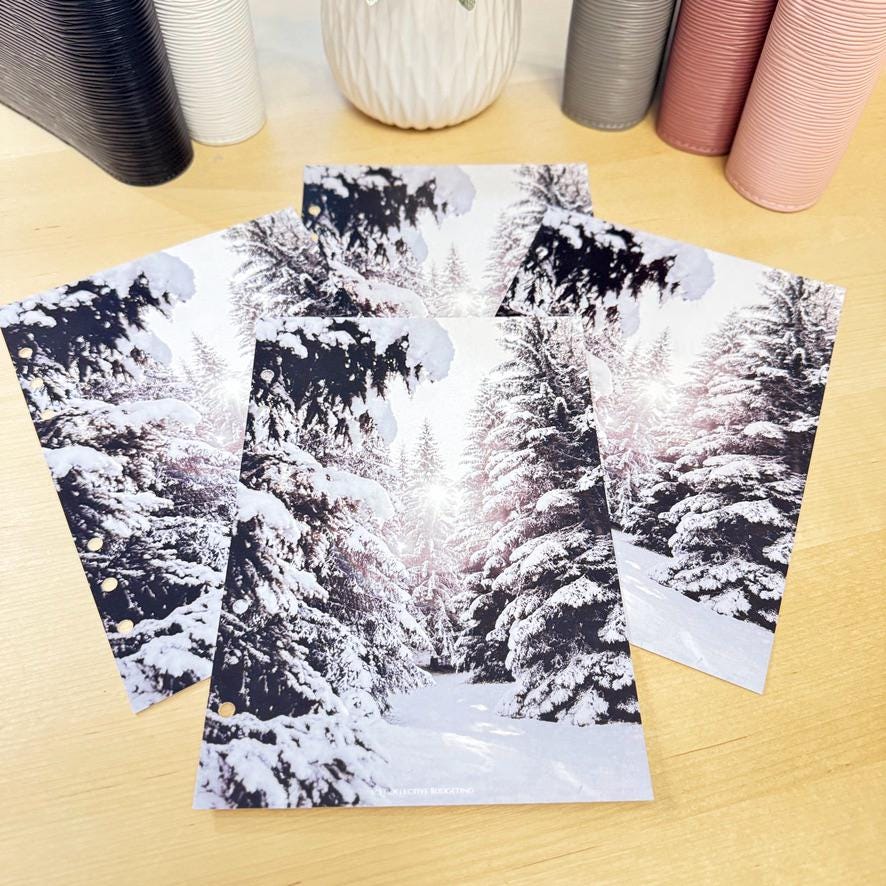 Winter Budget Binder Dashboard: A5/A6 Cash Stuffing Insert