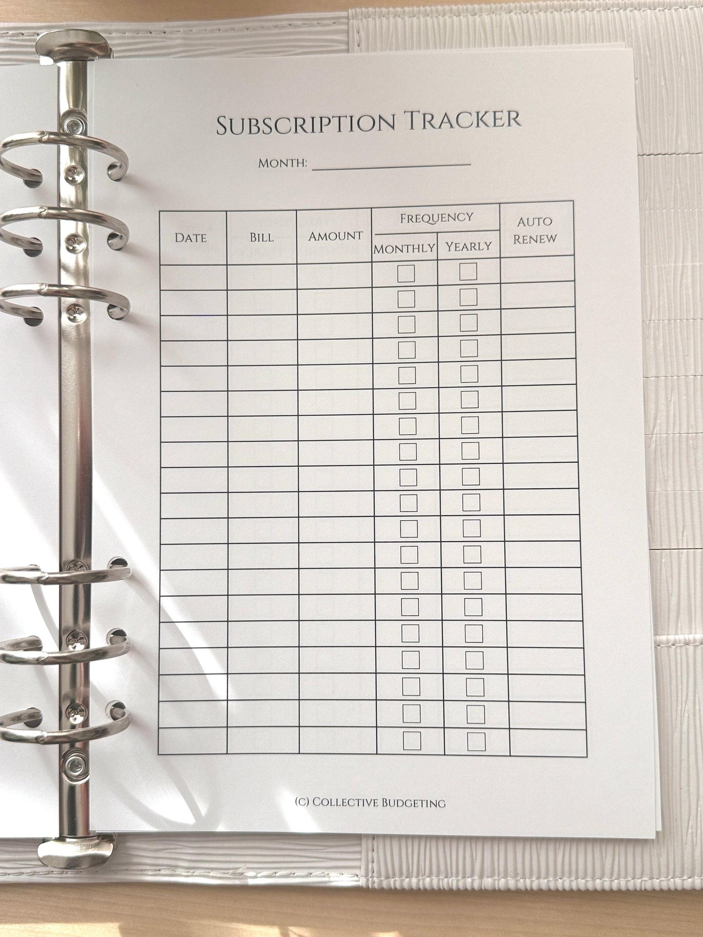 A5 Subscription Tracker Insert | Double Sided Hole Punched Budget Planner Page for Recurring Bills and Monthly Expenses