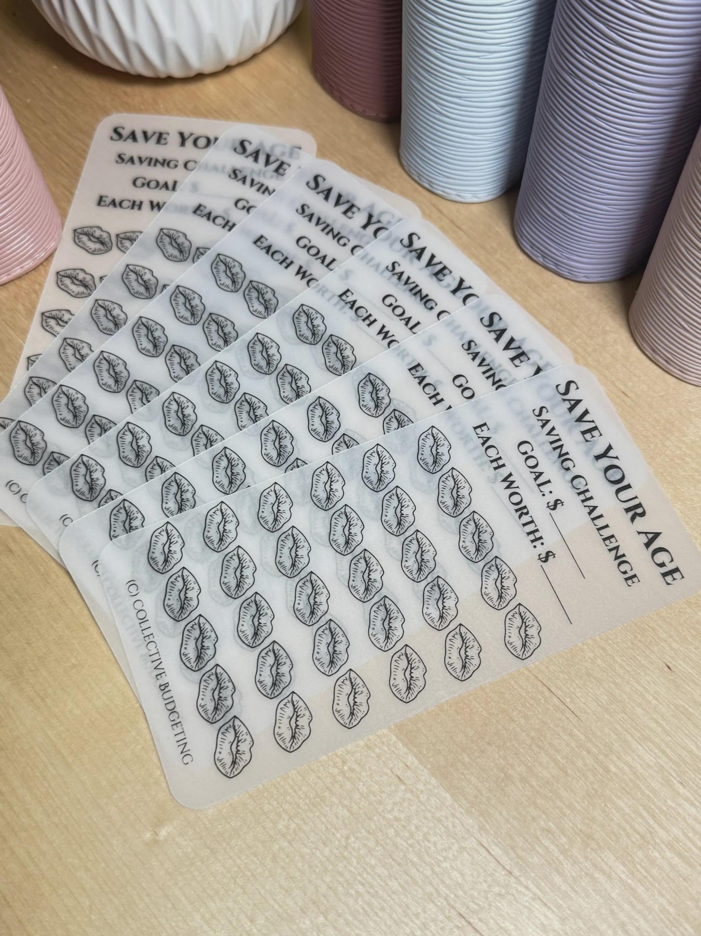 Save Your Age Laminated Savings Challenge | Age Like Fine Wine  | Save Your Age Designs on Vellum for Budget Binders and Cash Saving