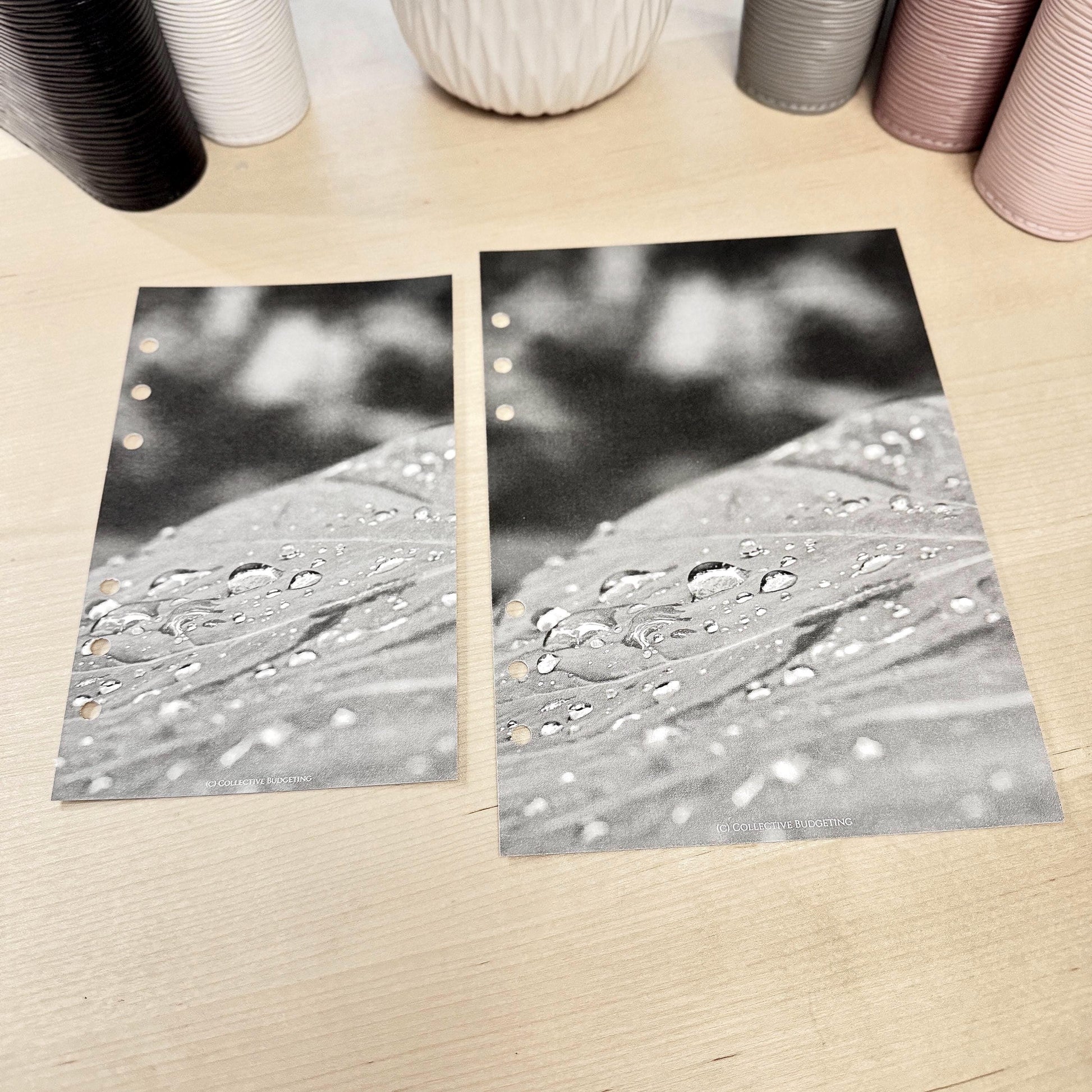 Raindrops on Leaf Budget Binder Dashboard: A5 A6 Cash Stuffing Insert
