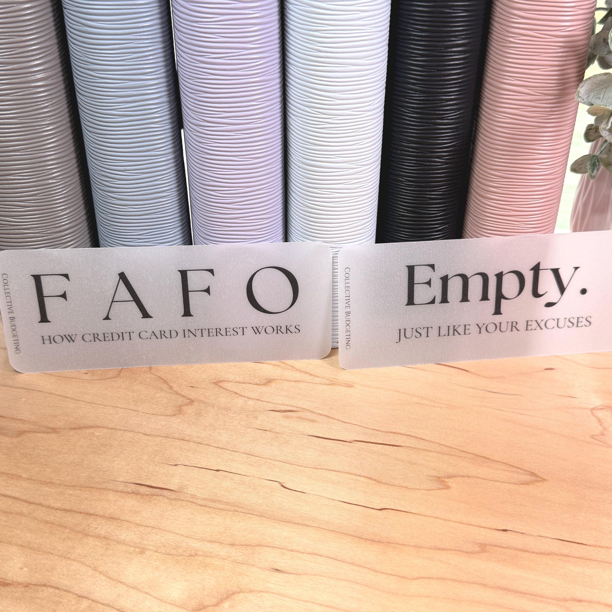 A5 A6 Sarcastic Budget Placeholders – Matte Vellum Cash Stuffing Motivational Binder Inserts