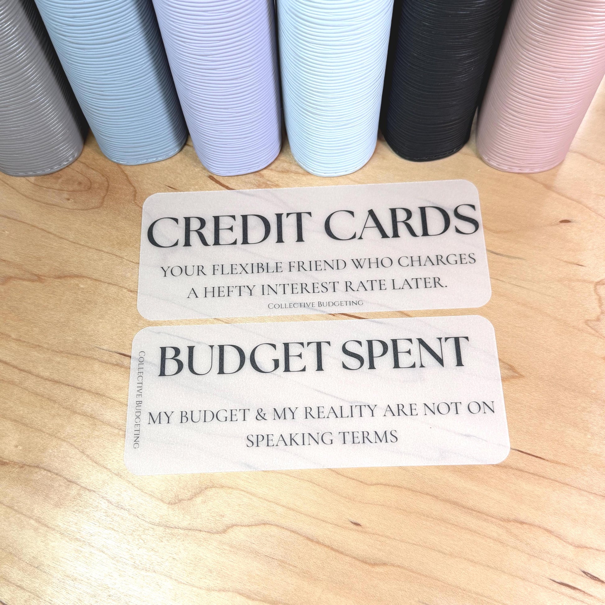 A5 A6 Sarcastic Budget Placeholders – Matte Vellum Cash Stuffing Motivational Binder Inserts