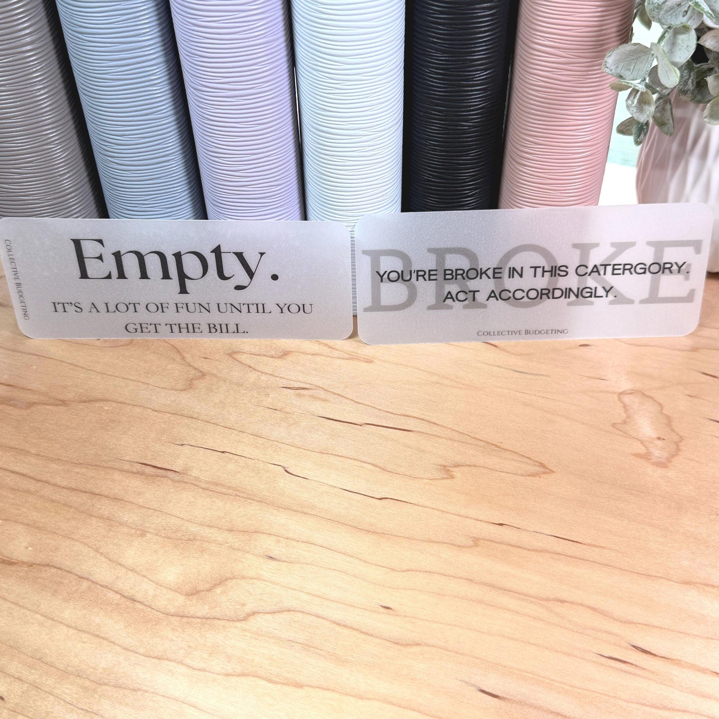 A5 A6 Sarcastic Budget Placeholders – Matte Vellum Cash Stuffing Motivational Binder Inserts