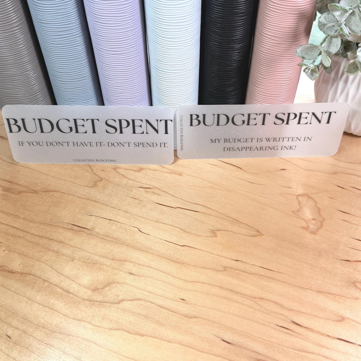 A5 A6 Sarcastic Budget Placeholders – Matte Vellum Cash Stuffing Motivational Binder Inserts