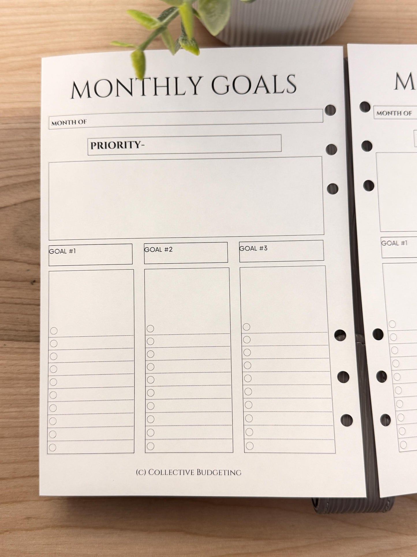A5 Monthly Planning Insert | Tracker | Cash Stuffing Budget Binder Tool