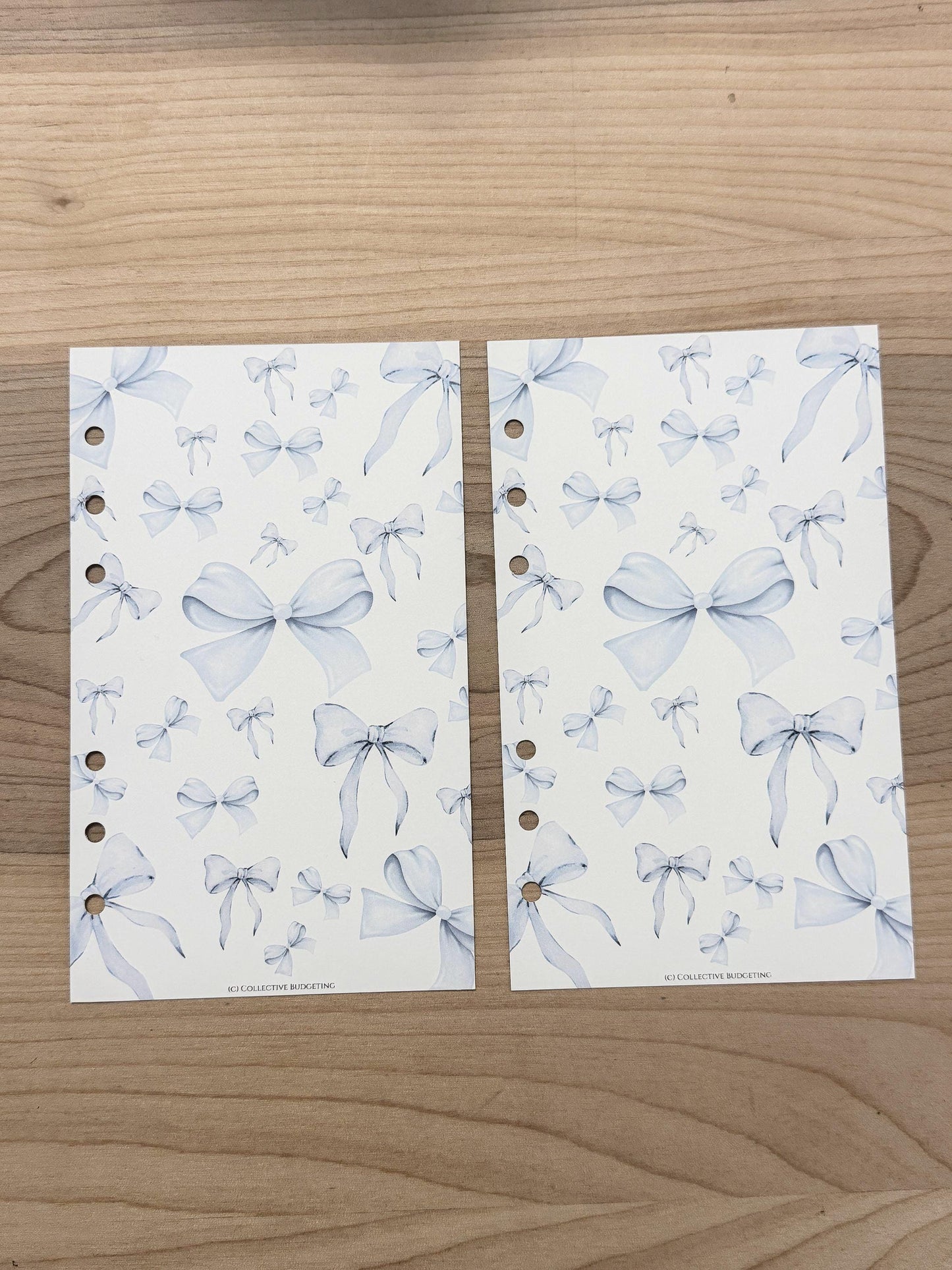 Blue Bow Budget Binder Dashboard: A5 A6 Cash Envelope Insert