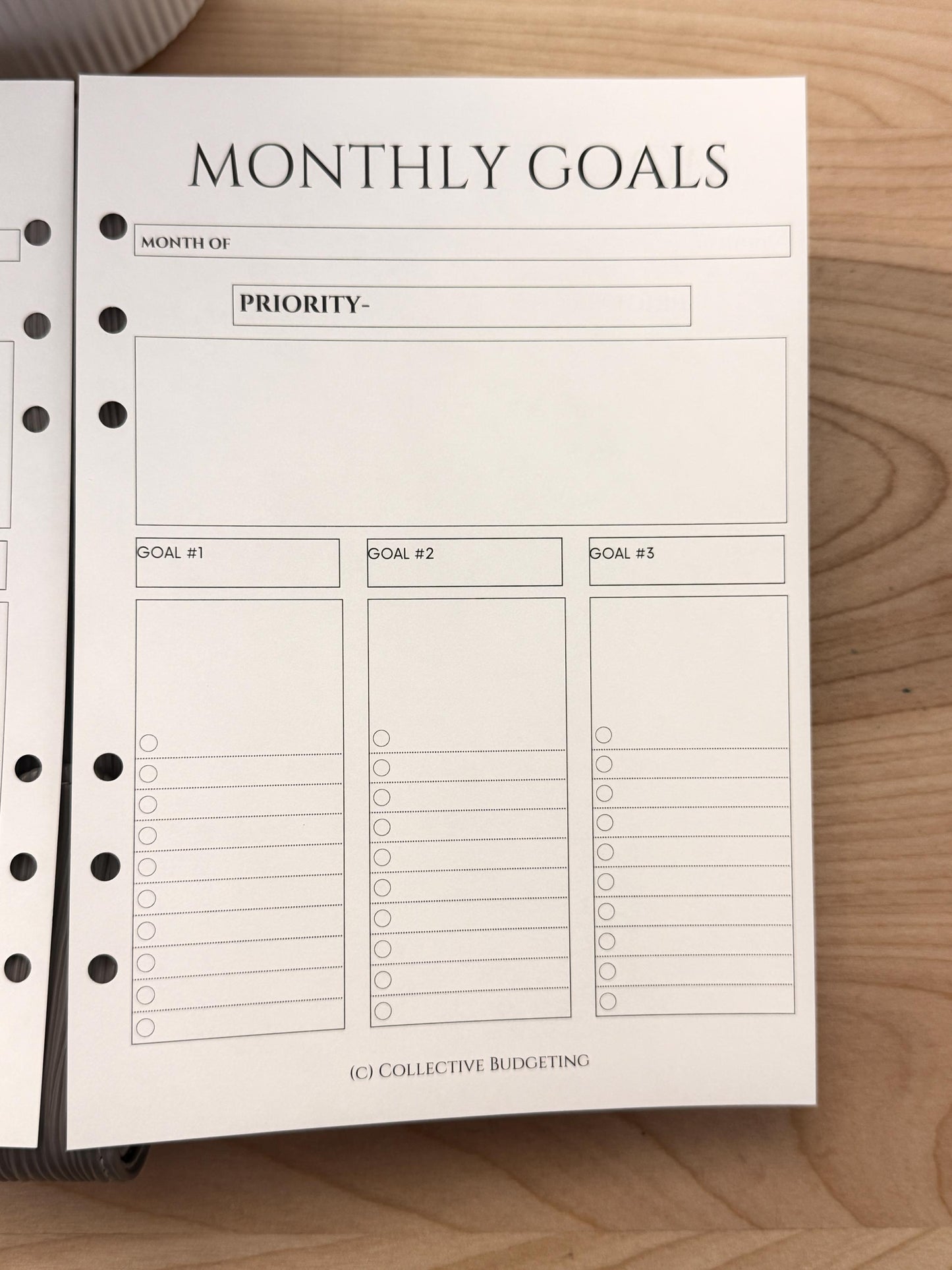 A5 Monthly Planning Insert | Tracker | Cash Stuffing Budget Binder Tool